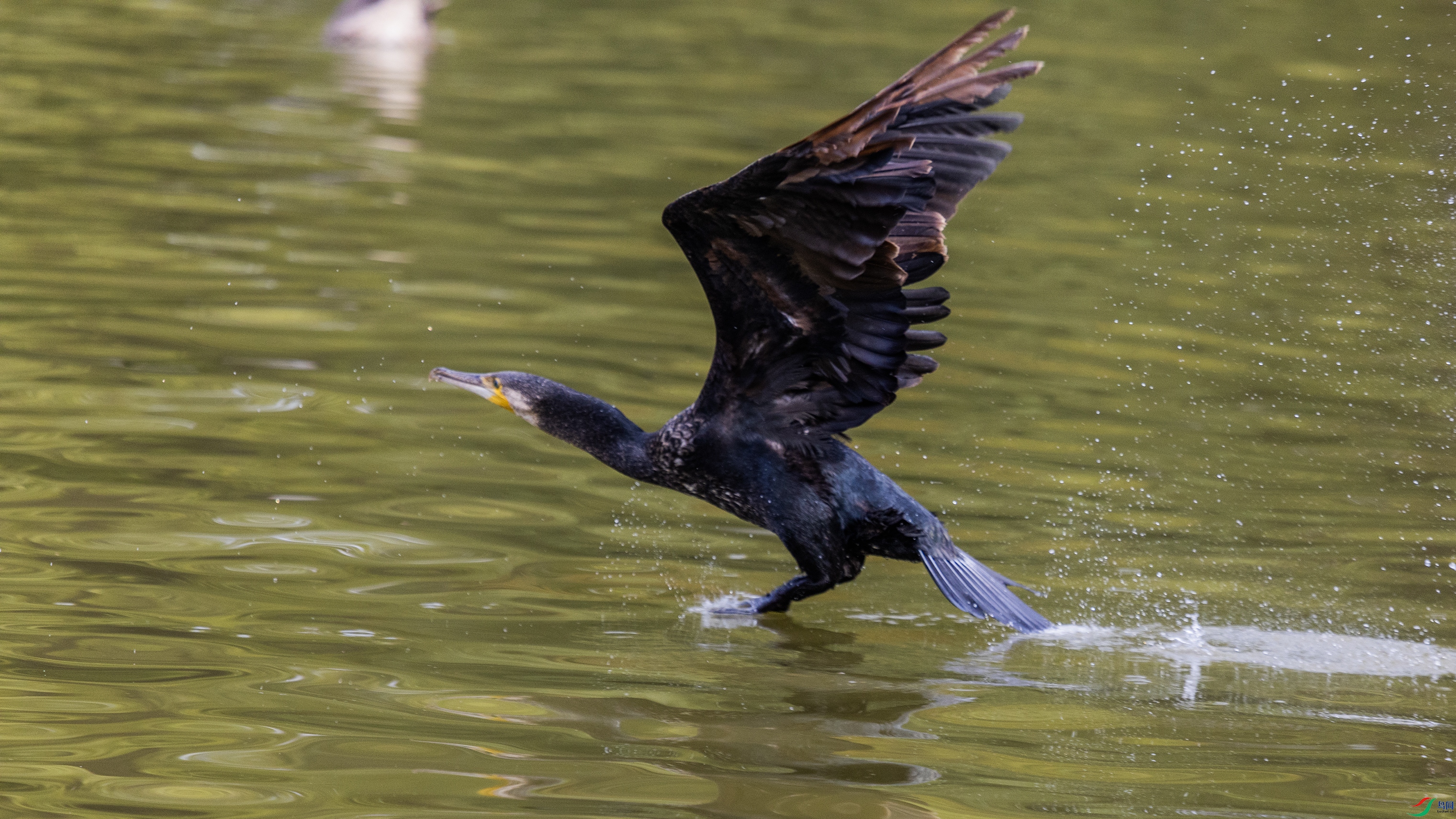 0O7A1535 ����.jpg