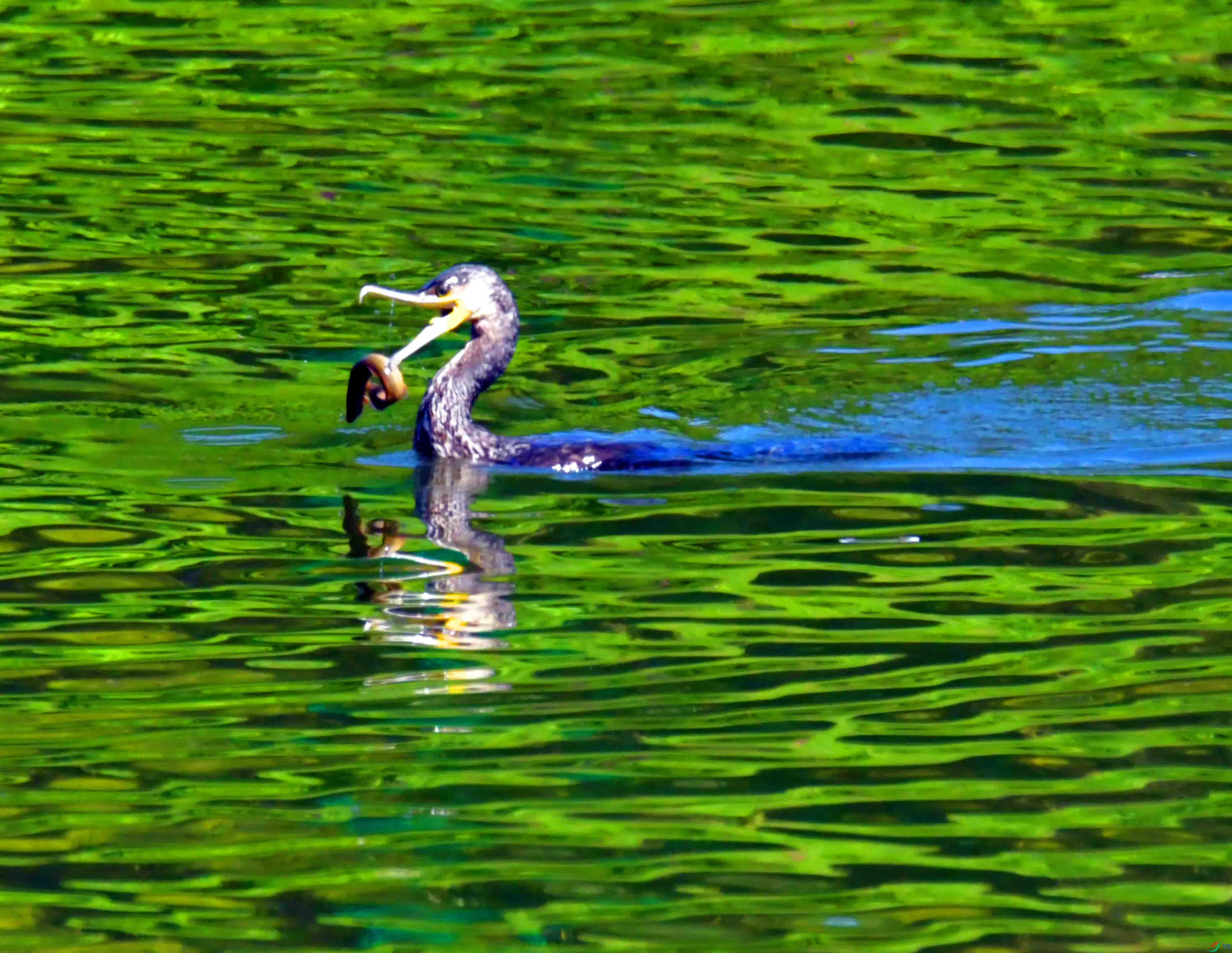 DSC_1672.JPG
