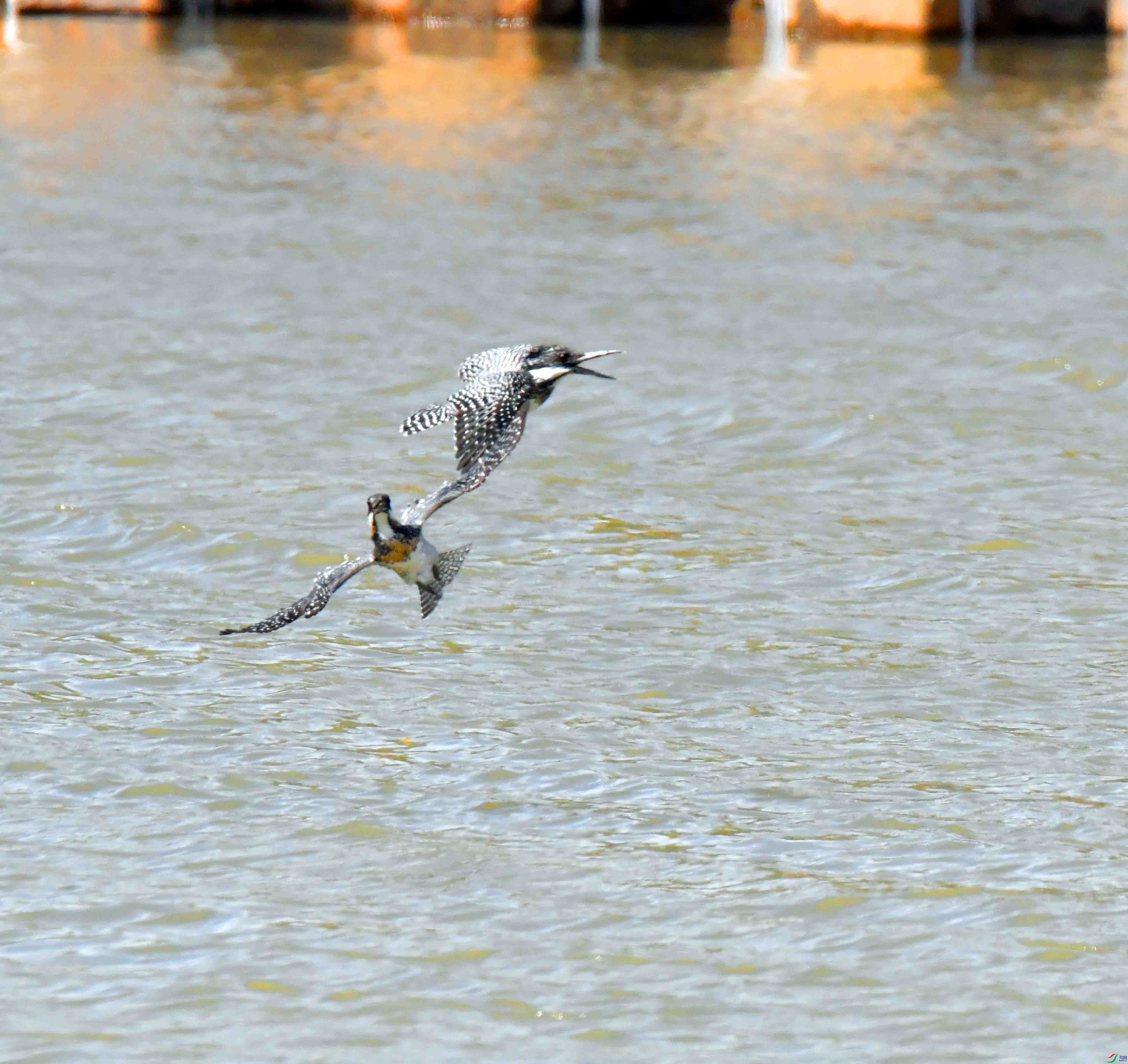 DSC_2641.JPG