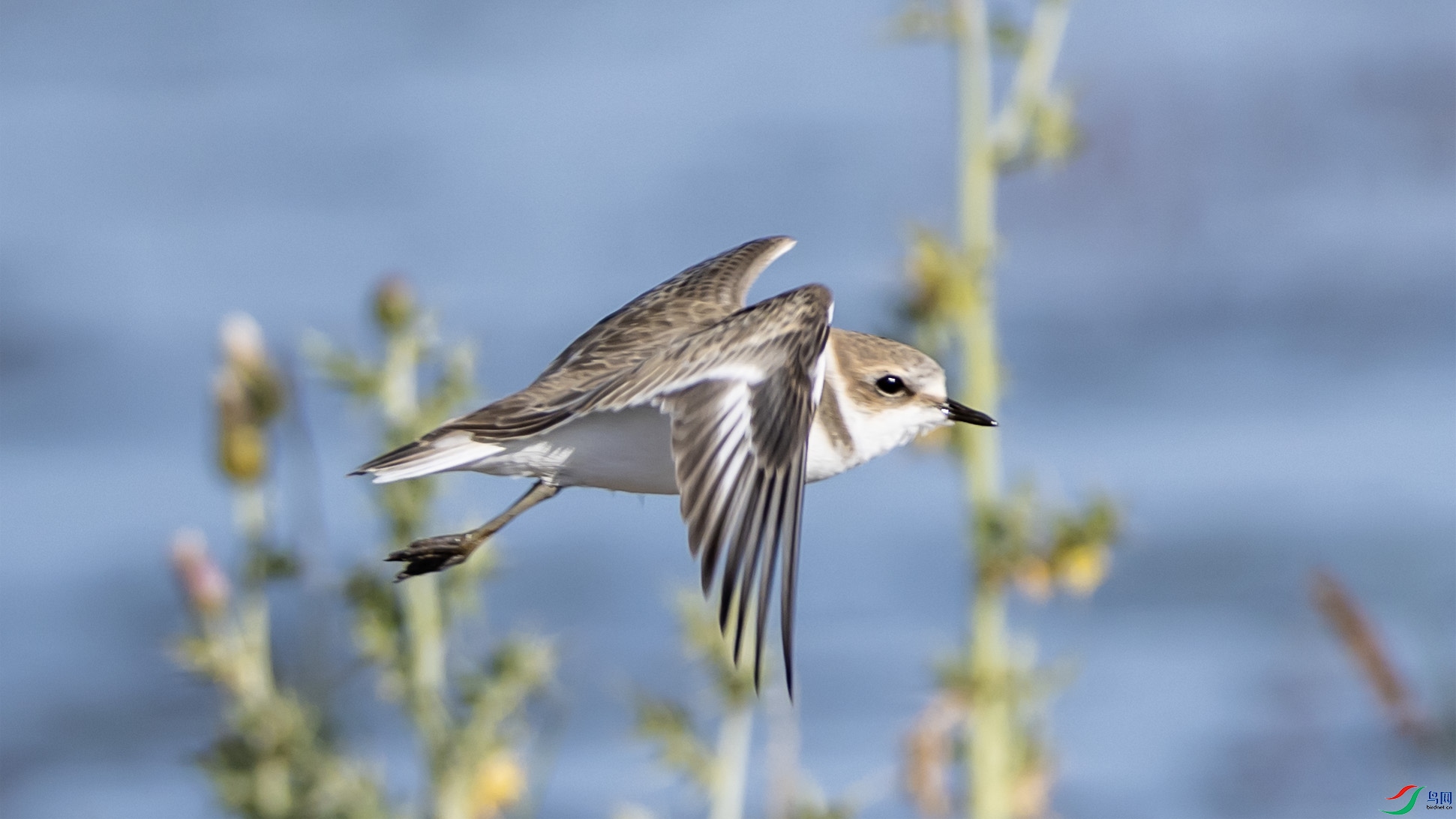 4K2A3447 �����a.jpg