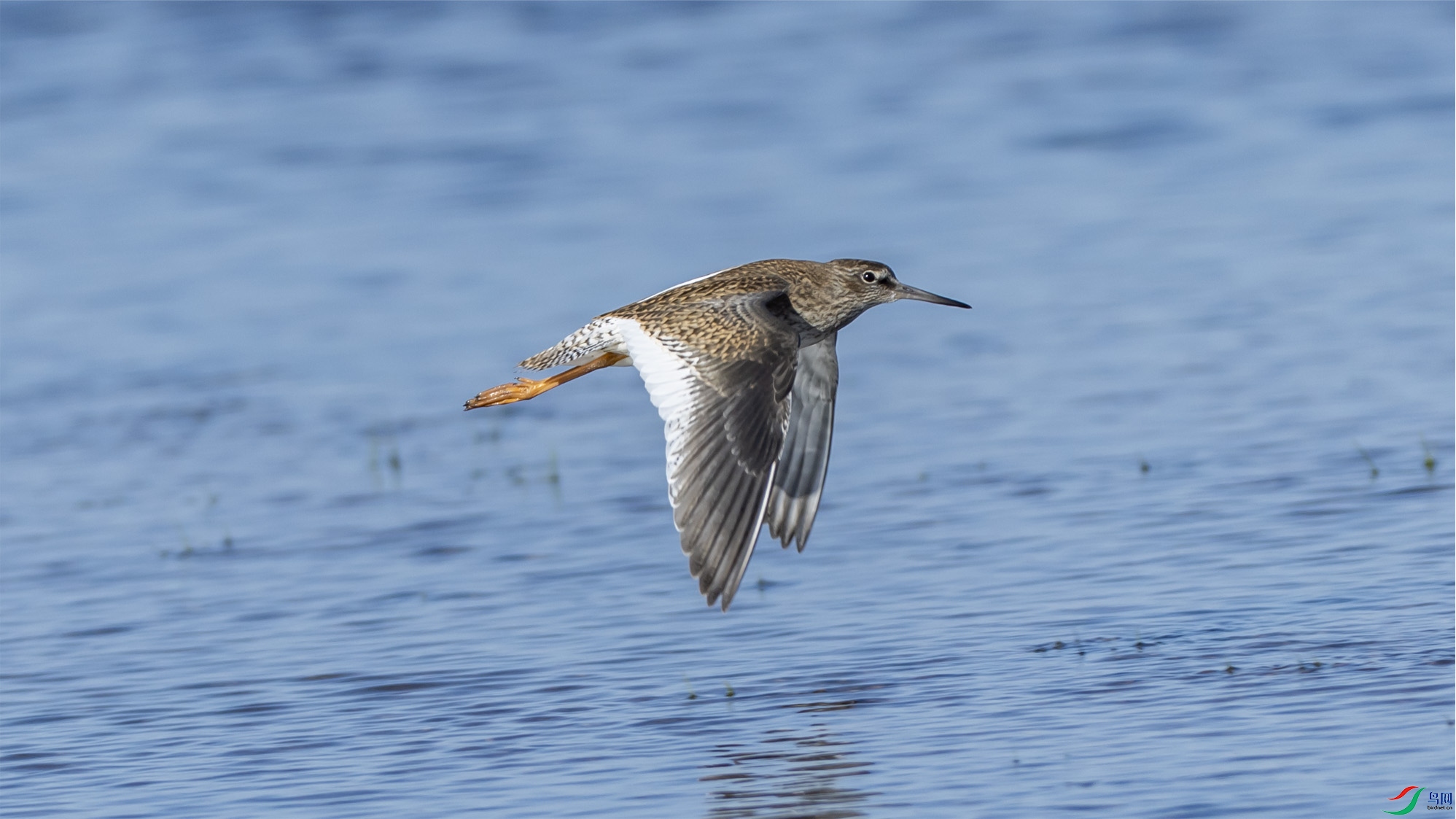 4K2A3459 �����.jpg