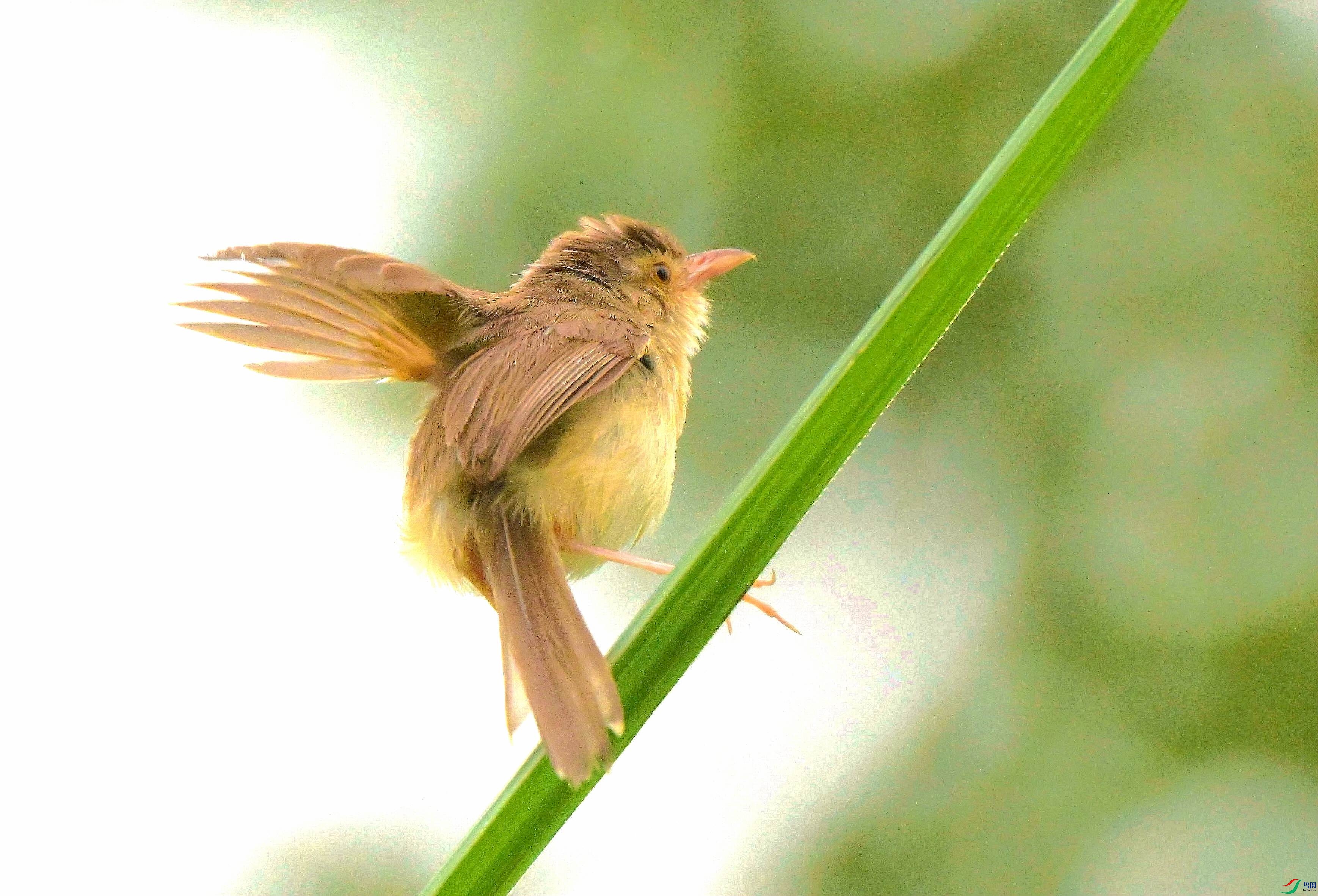 DSC_5066.jpg