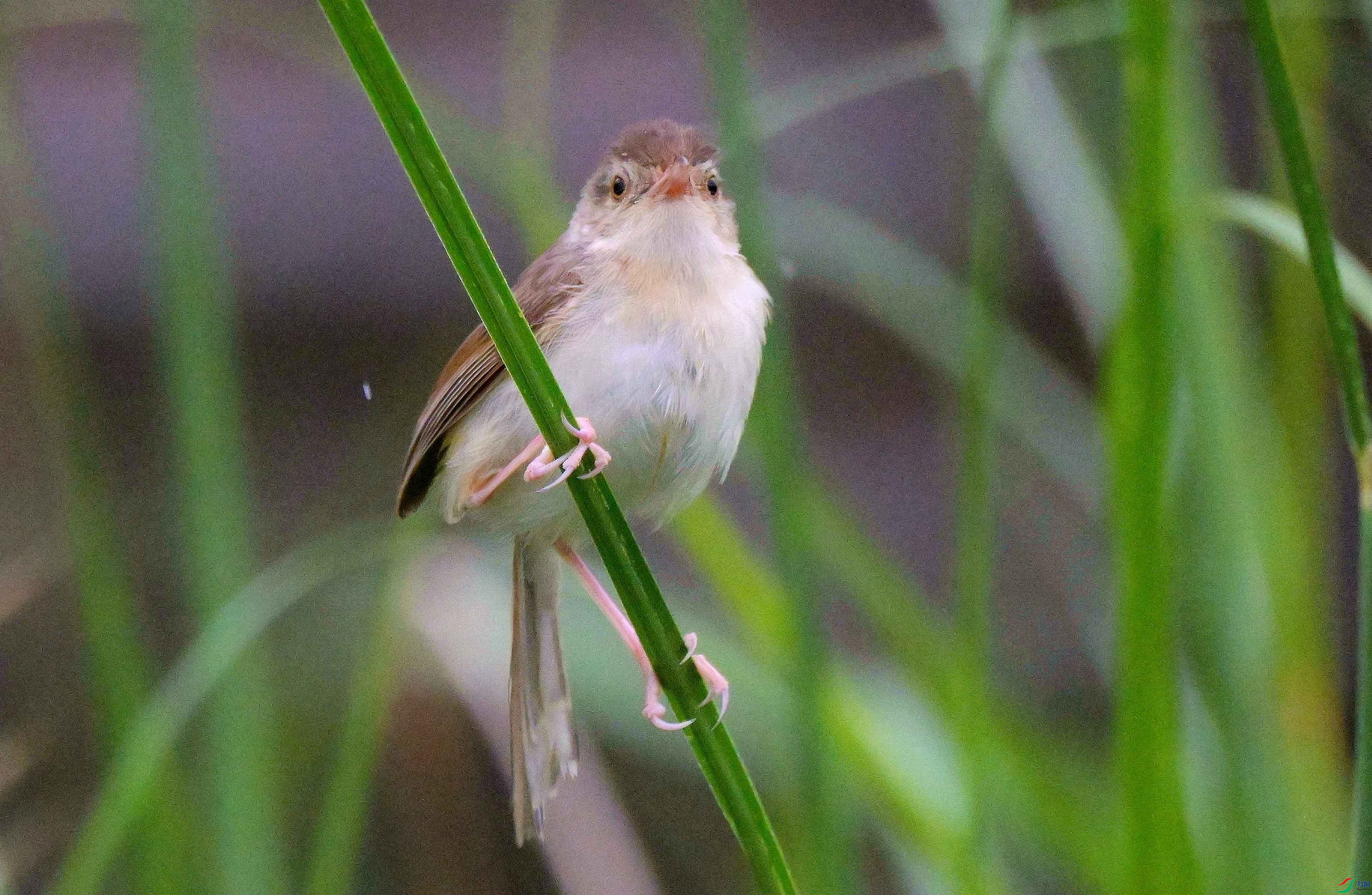 DSC_5116.jpg