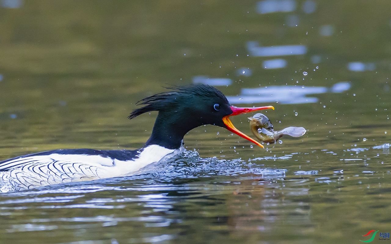 100 ����.jpg