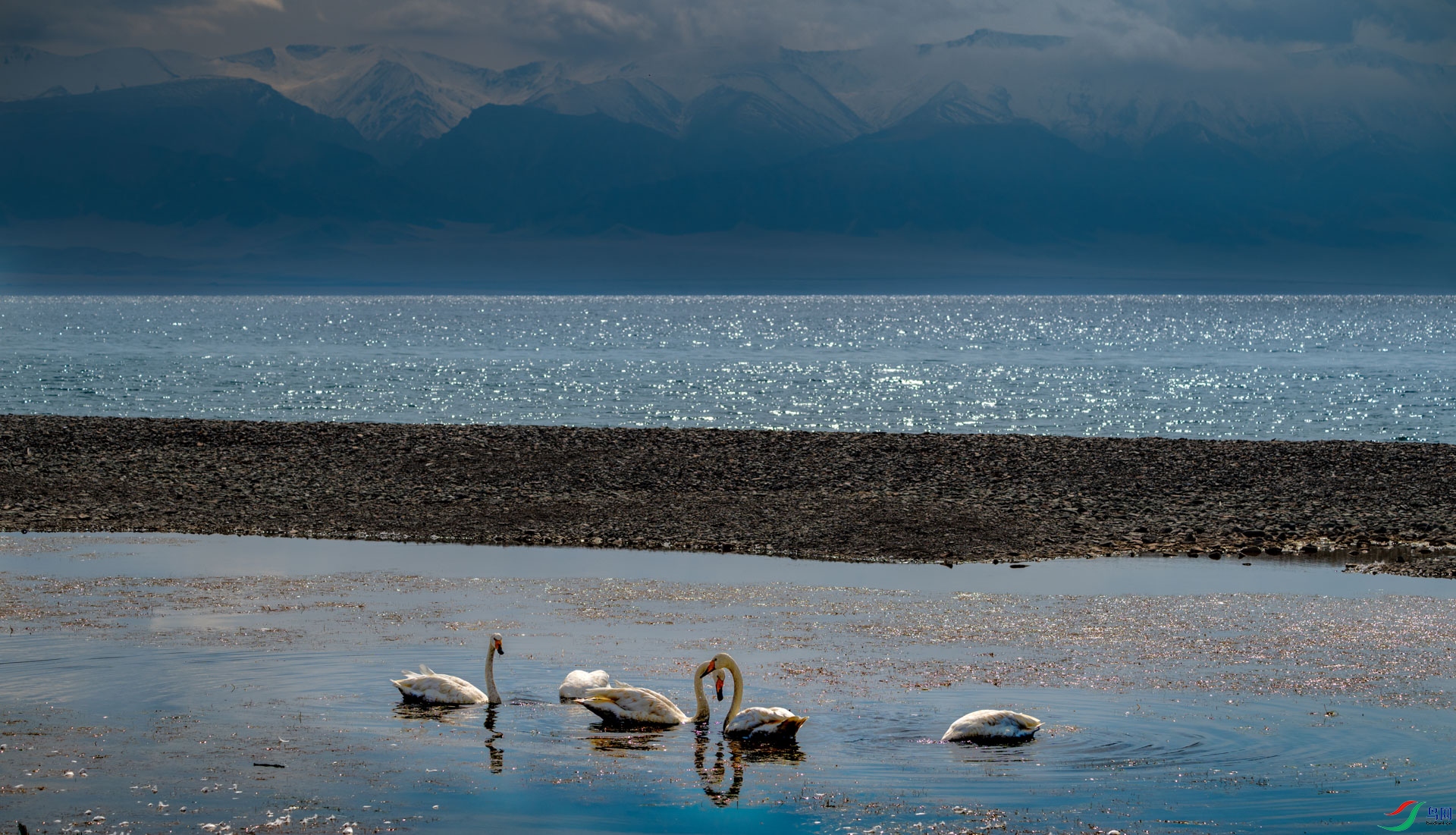 DSC_3231 ����.jpg