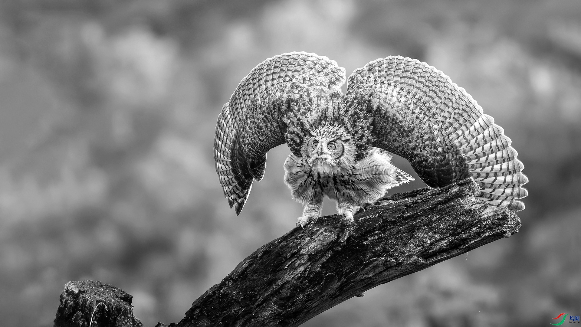 DSC_3147-20250811�� .jpg