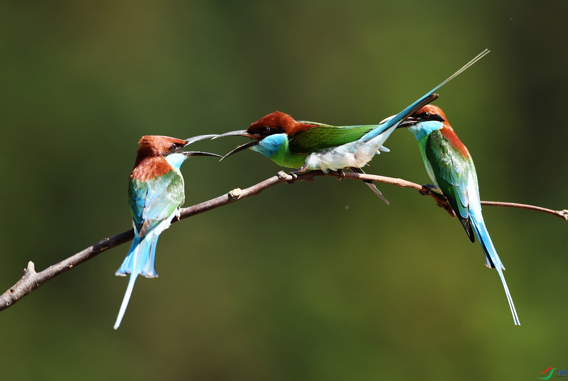 DSC_9790.jpg