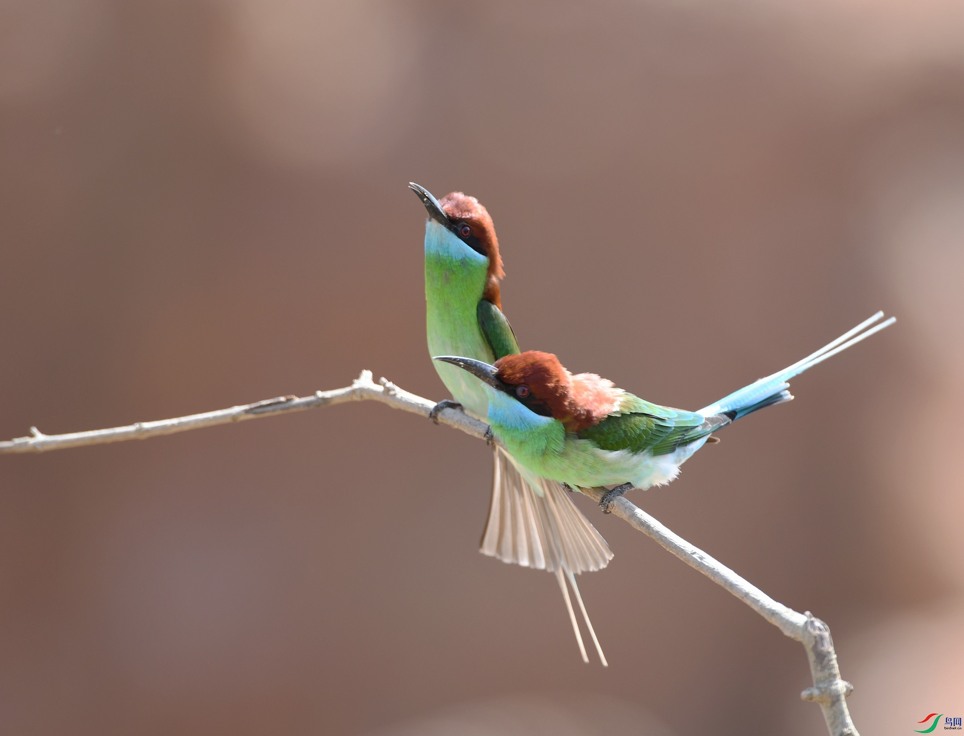 DSC_9865.jpg