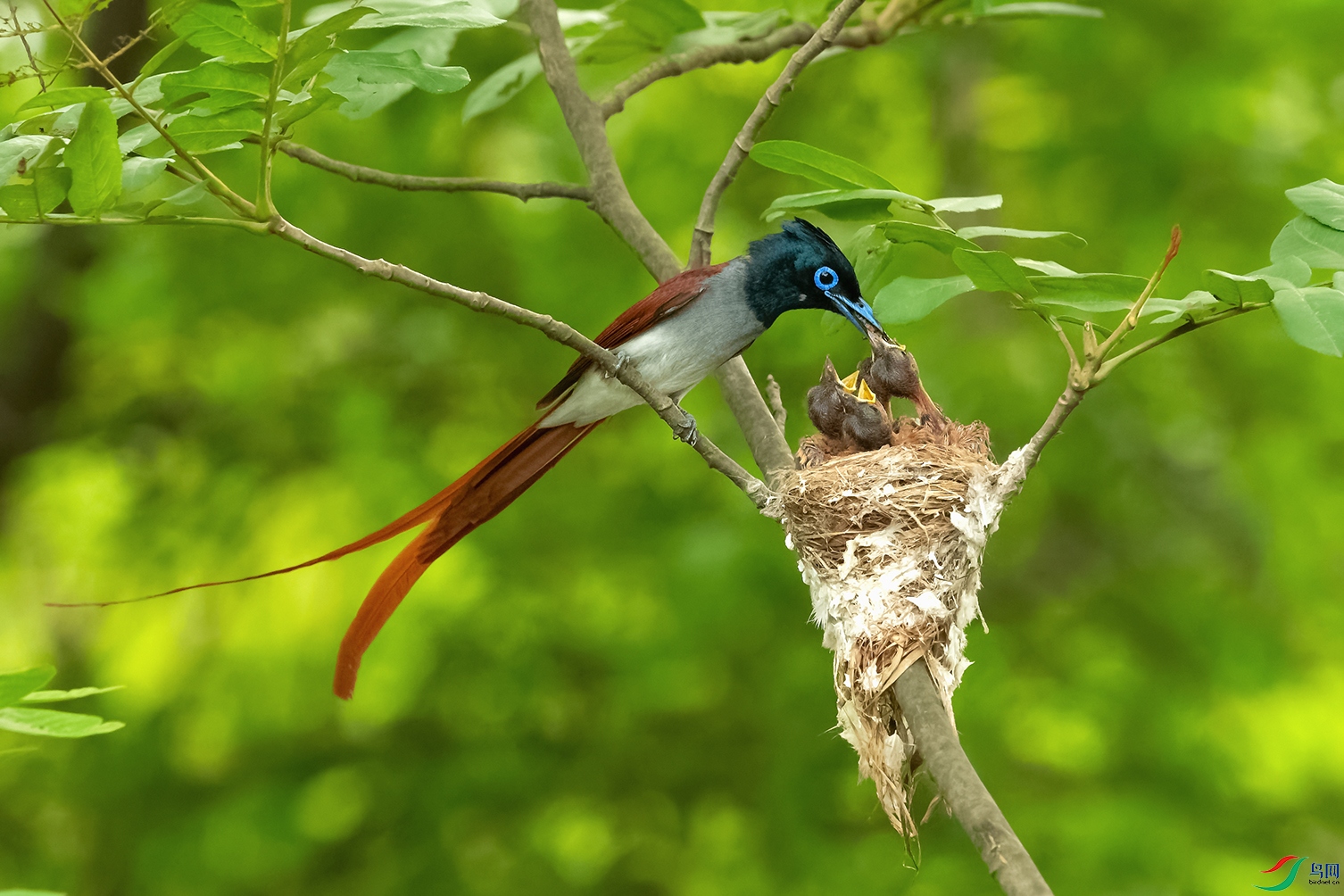 DSC_5576_DxOa.jpg