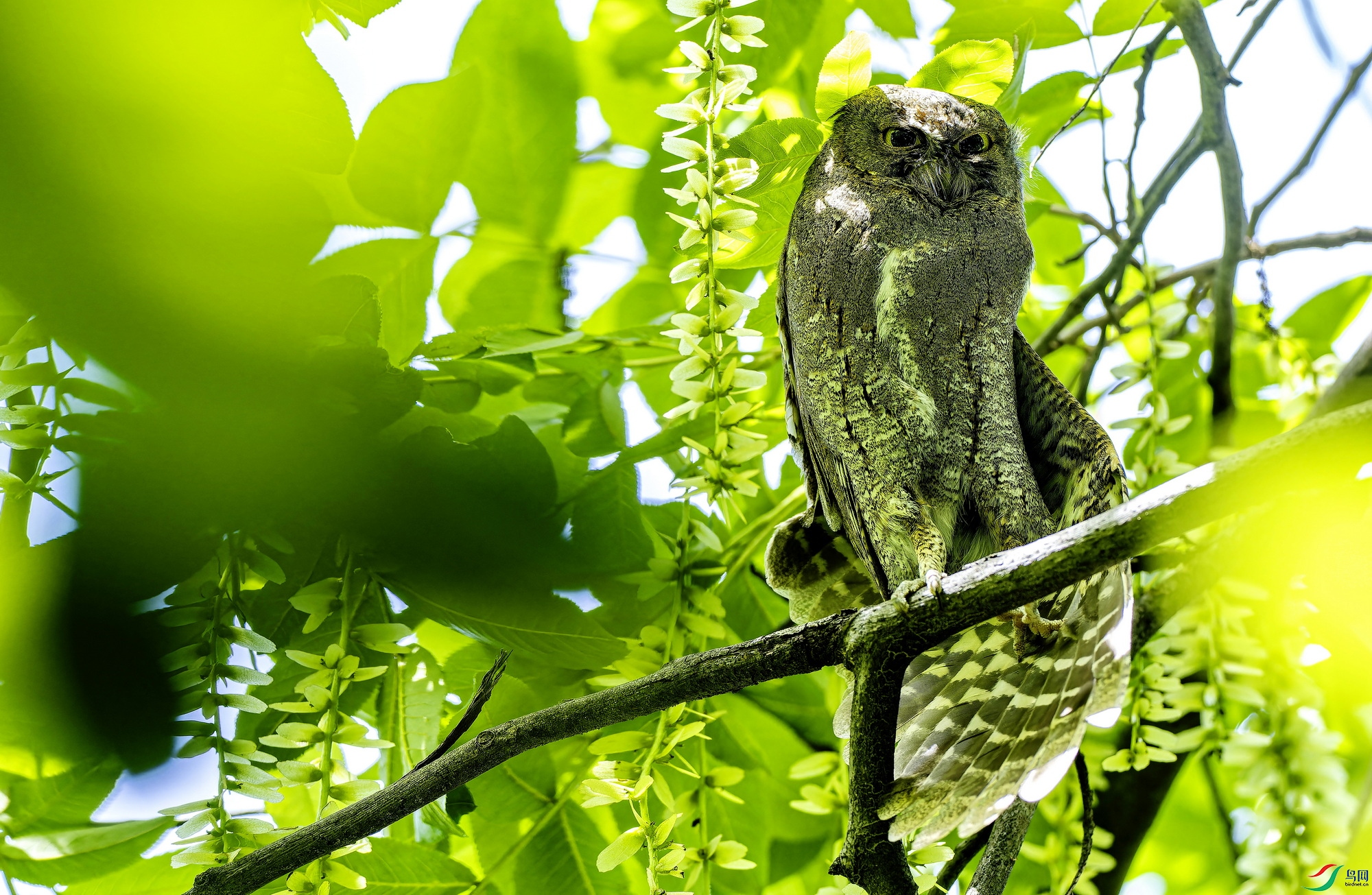 ����^ (15)-01.jpg