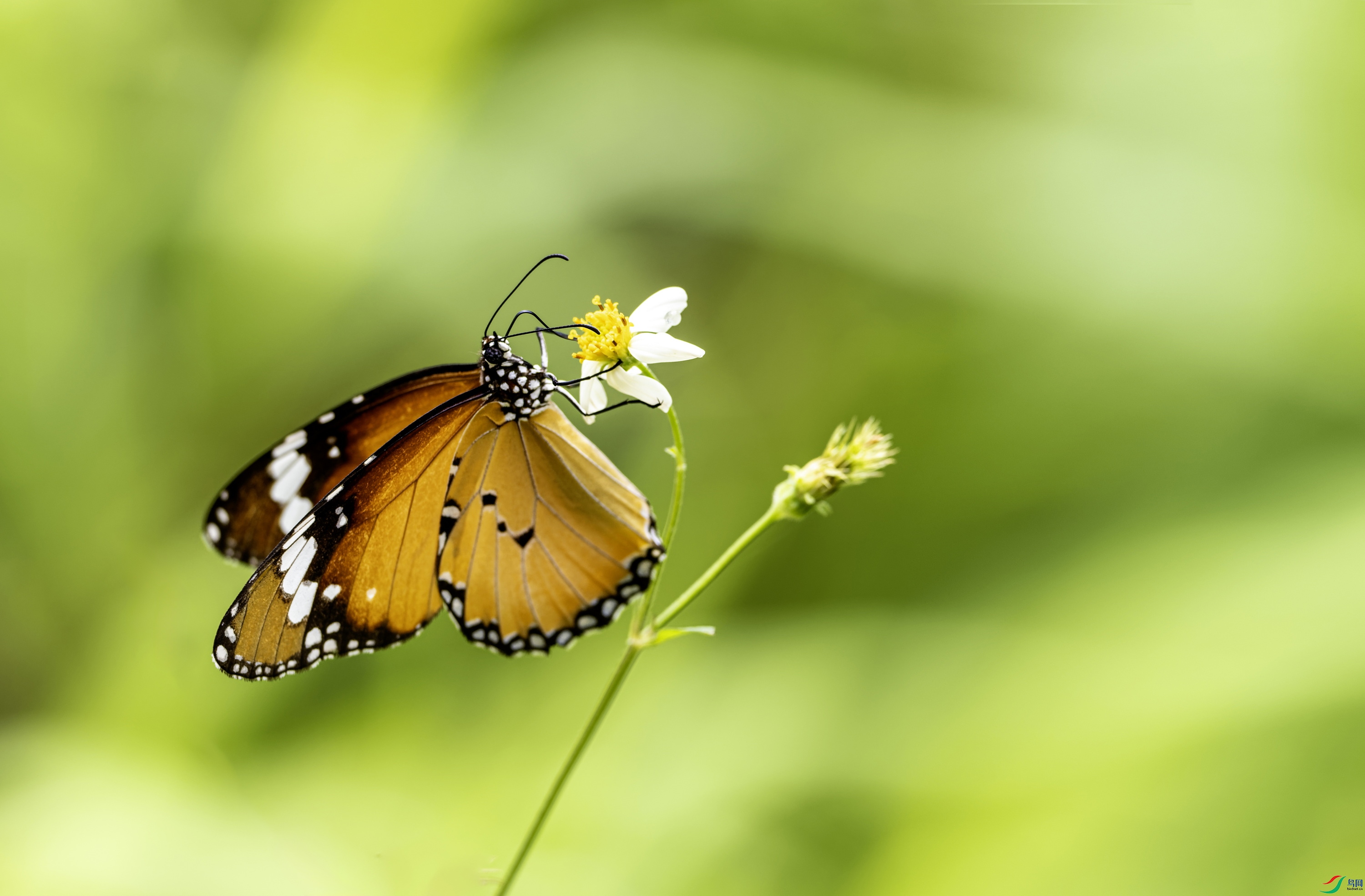 ��ߵ� (7)-01.jpg