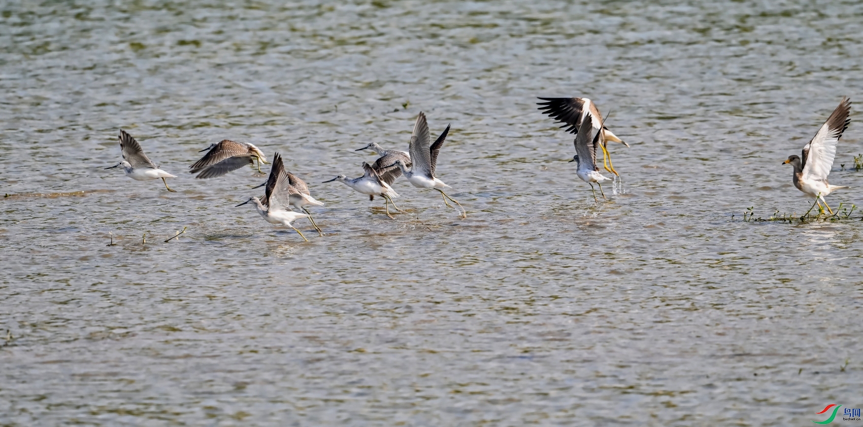 DSC_8192---_conew1.jpg