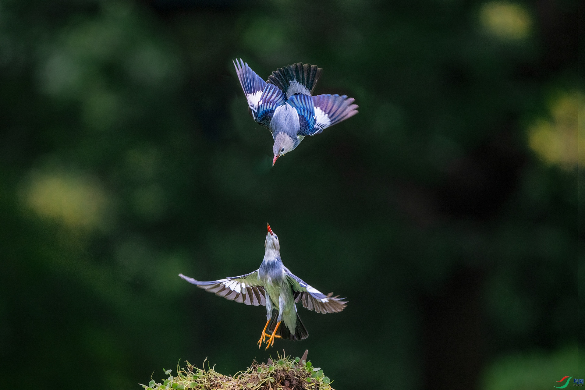 DSC_3980.jpg
