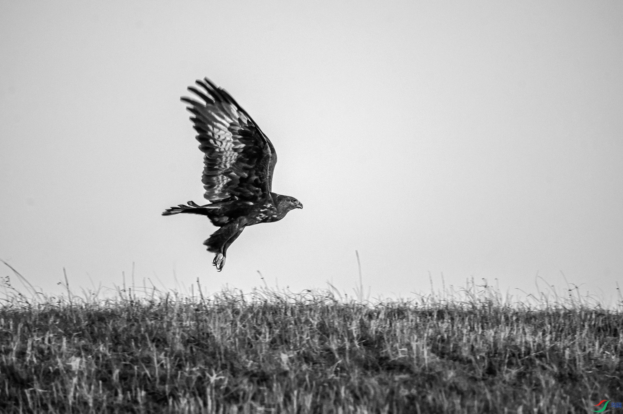 _DSC4426_����.jpg