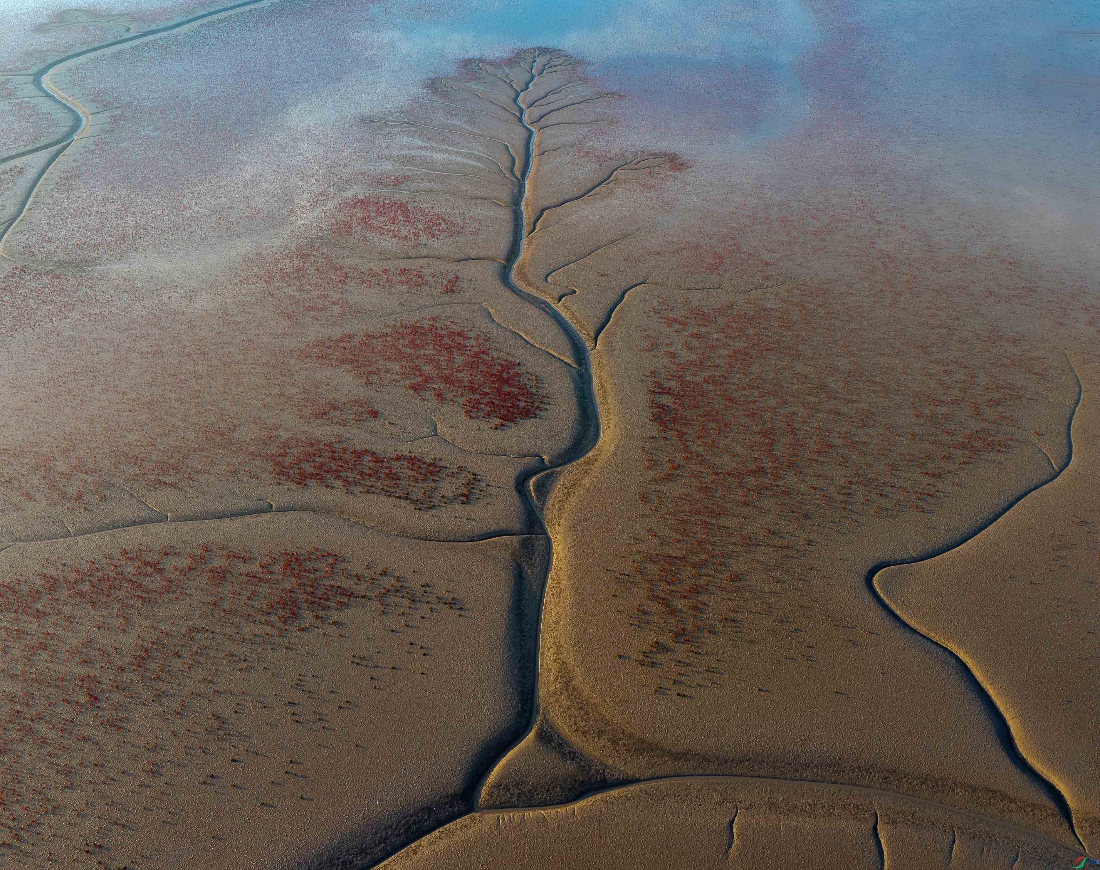 1-xtDJI_20251003151910_0060_D ���� 2.jpg