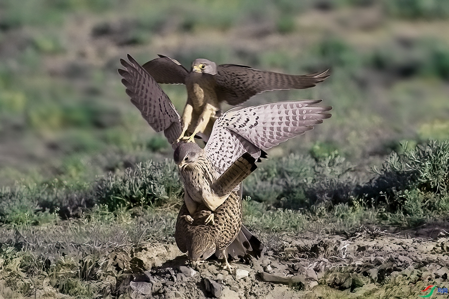 9.30�����ʦ��Ʒ  �ᰮ��ף���ٻ��Ա������.jpg