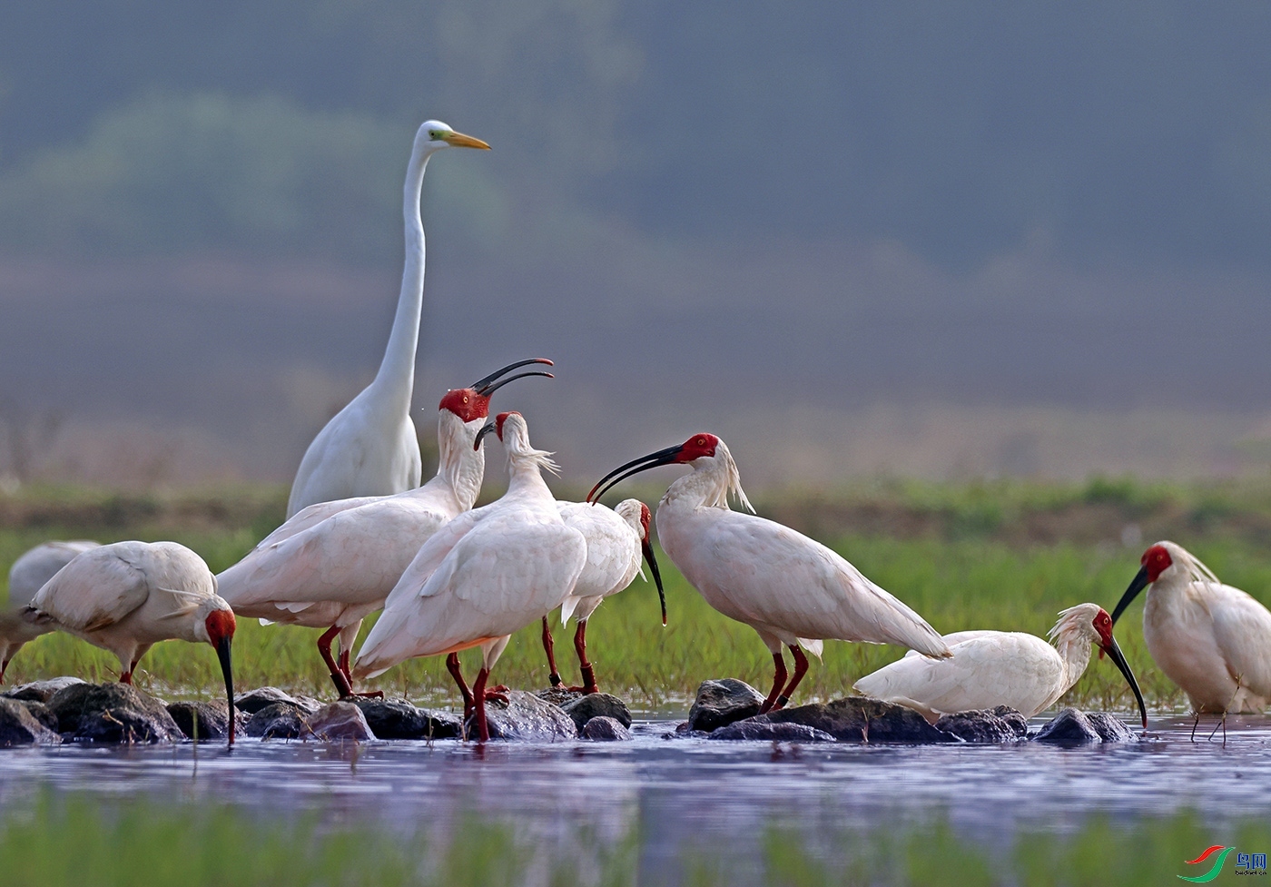 10.2�ඡ������ʦ��Ʒ   ̸��˵�� ��ף���ٻ���Ӱʦ������.jpg