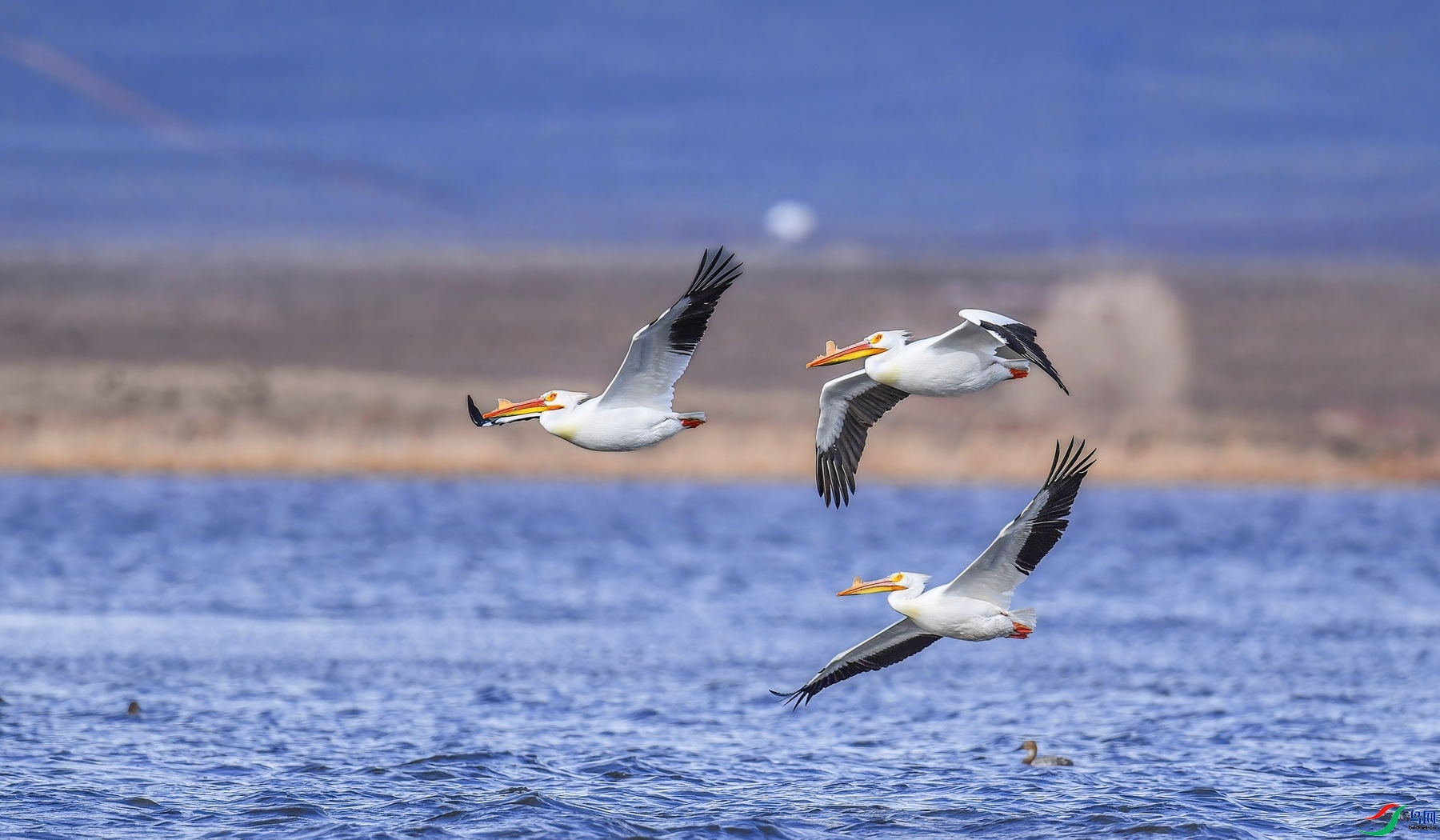 10.4����ͬ��yy��ʦ��Ʒ  ������죨ף���ٻ���Ӱʦ������.jpg