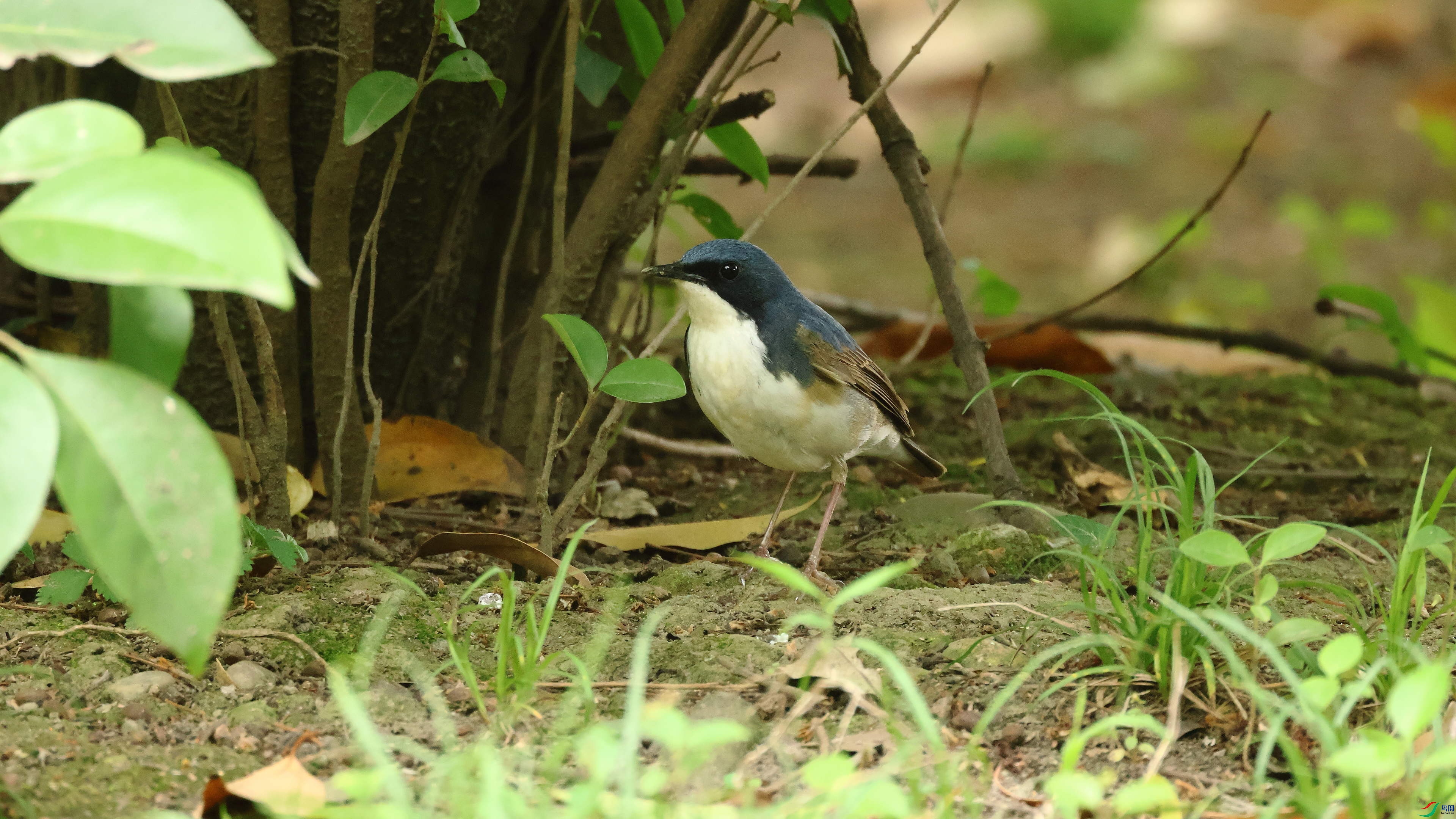 IMG_7936.JPG