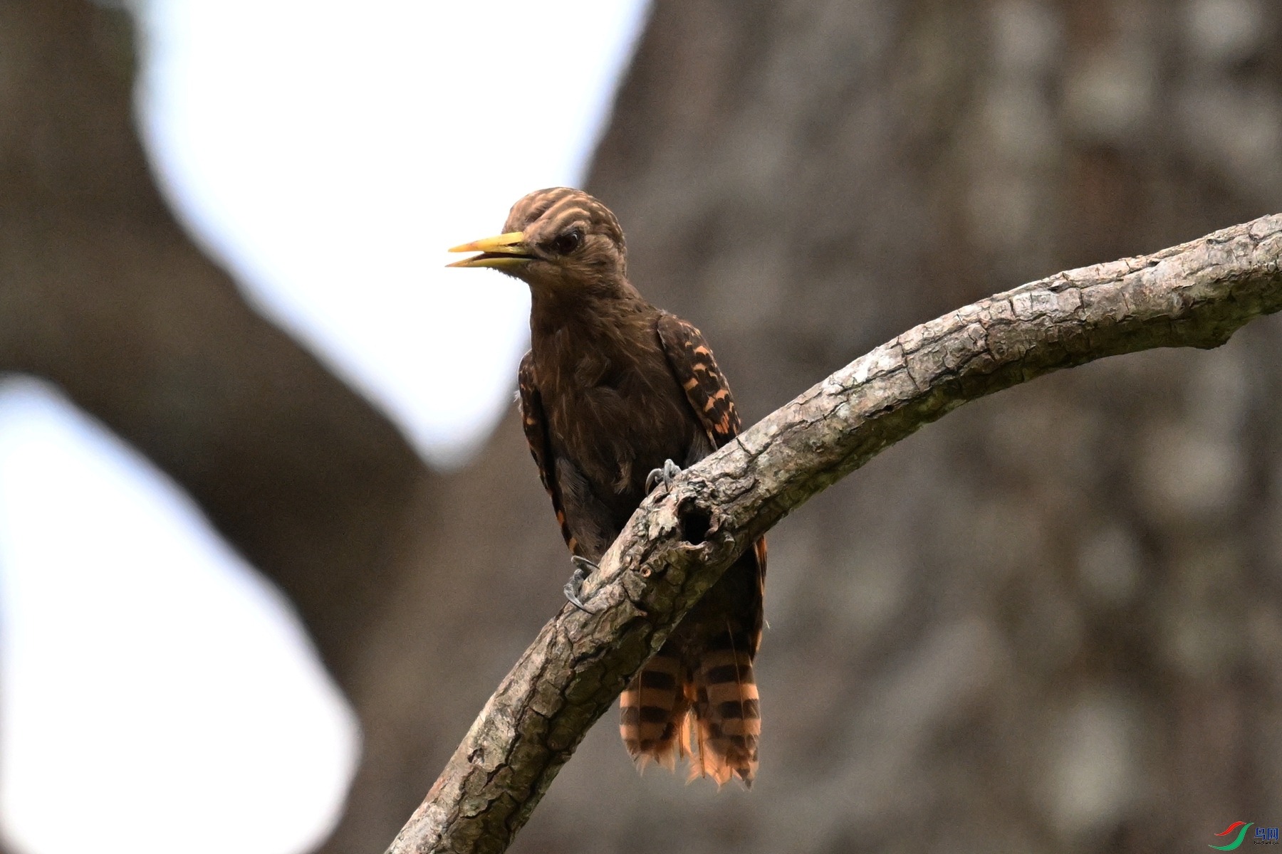 DSC_9391.JPG