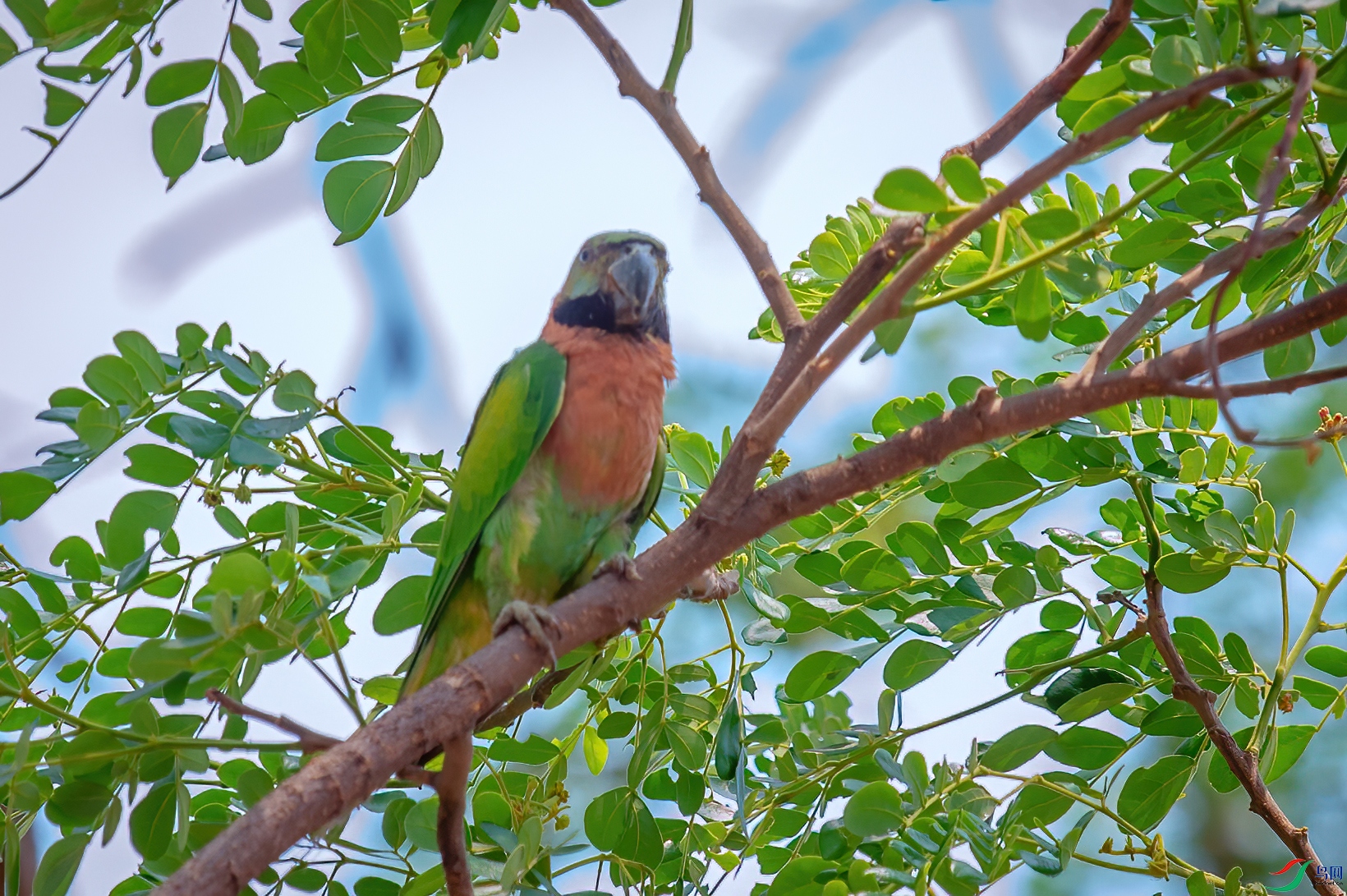 DSC_9122-1.jpg