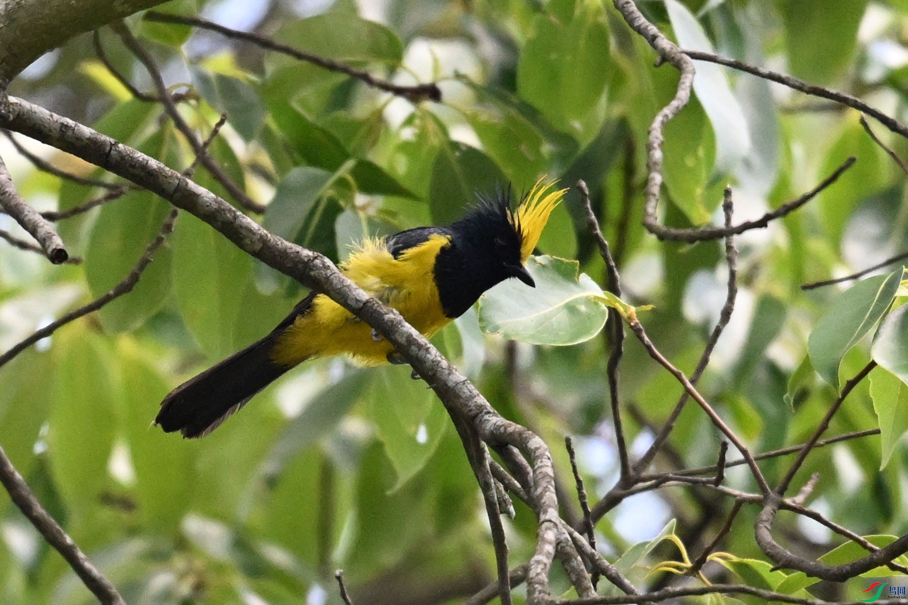 DSC_9384.JPG