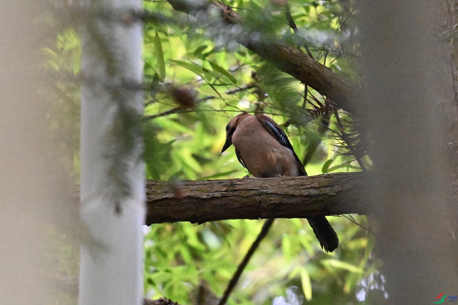 DSC_9415.JPG