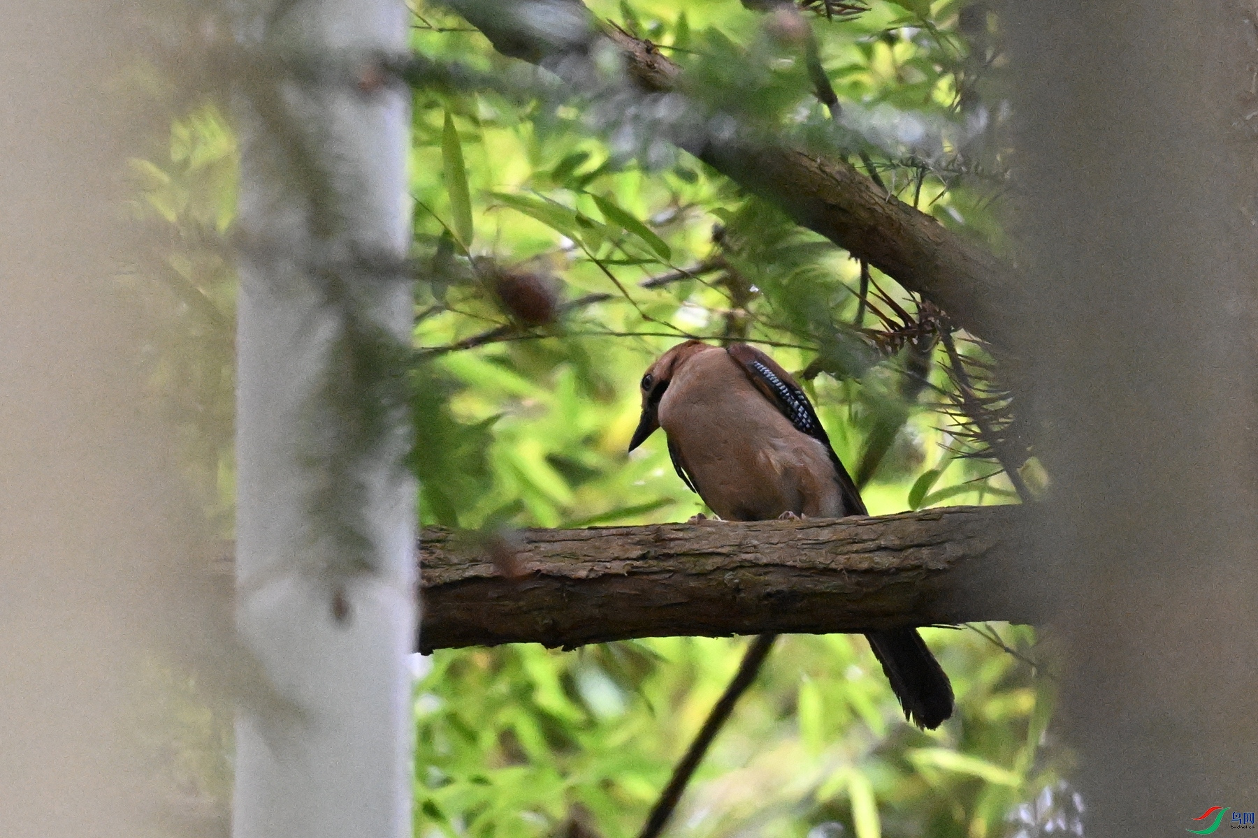 DSC_9416.JPG