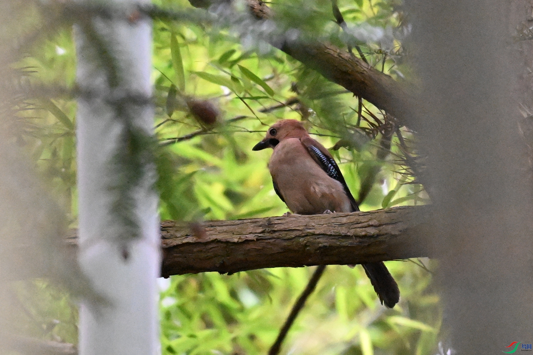 DSC_9421.JPG