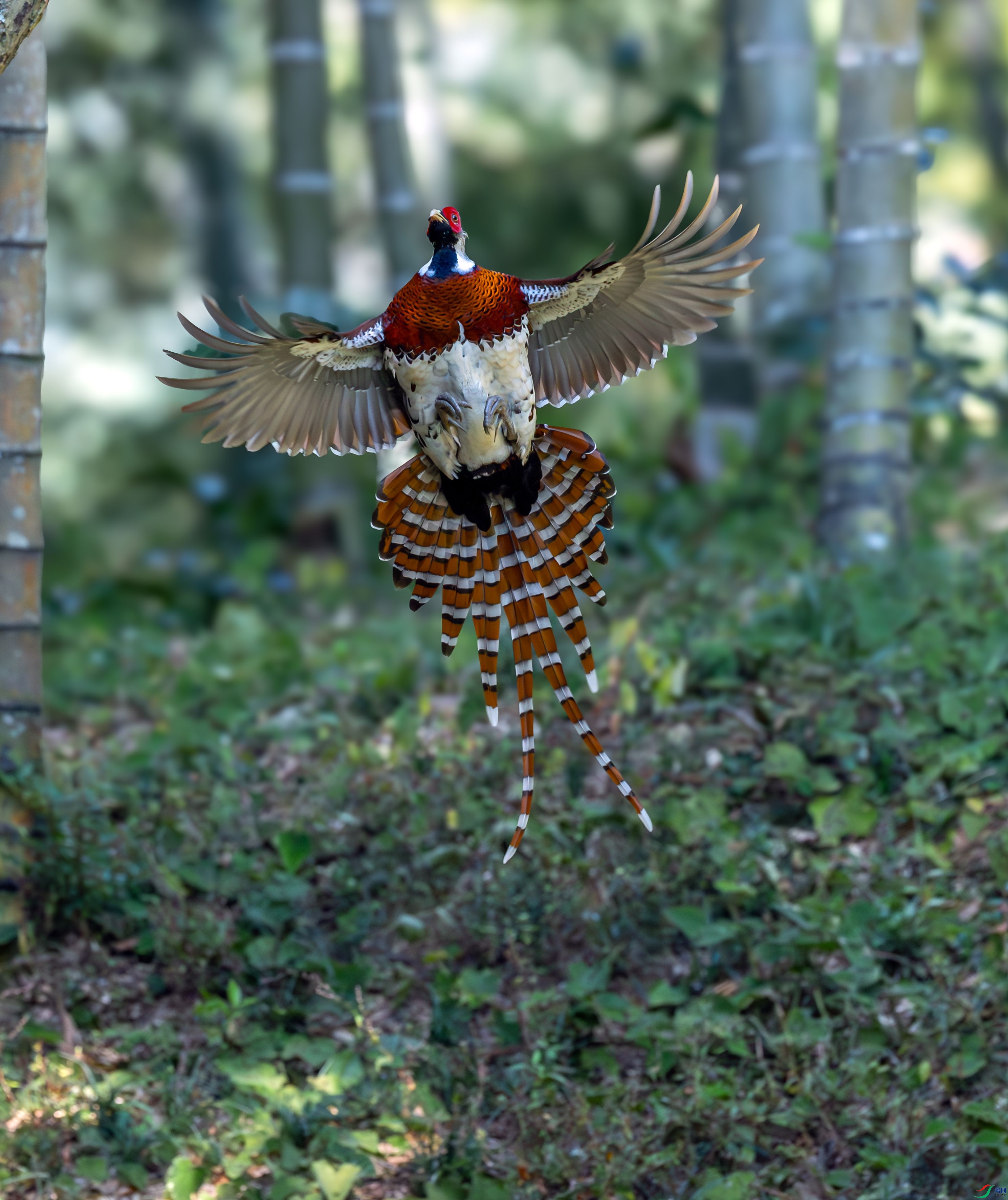 �׾���β�����ۣ�