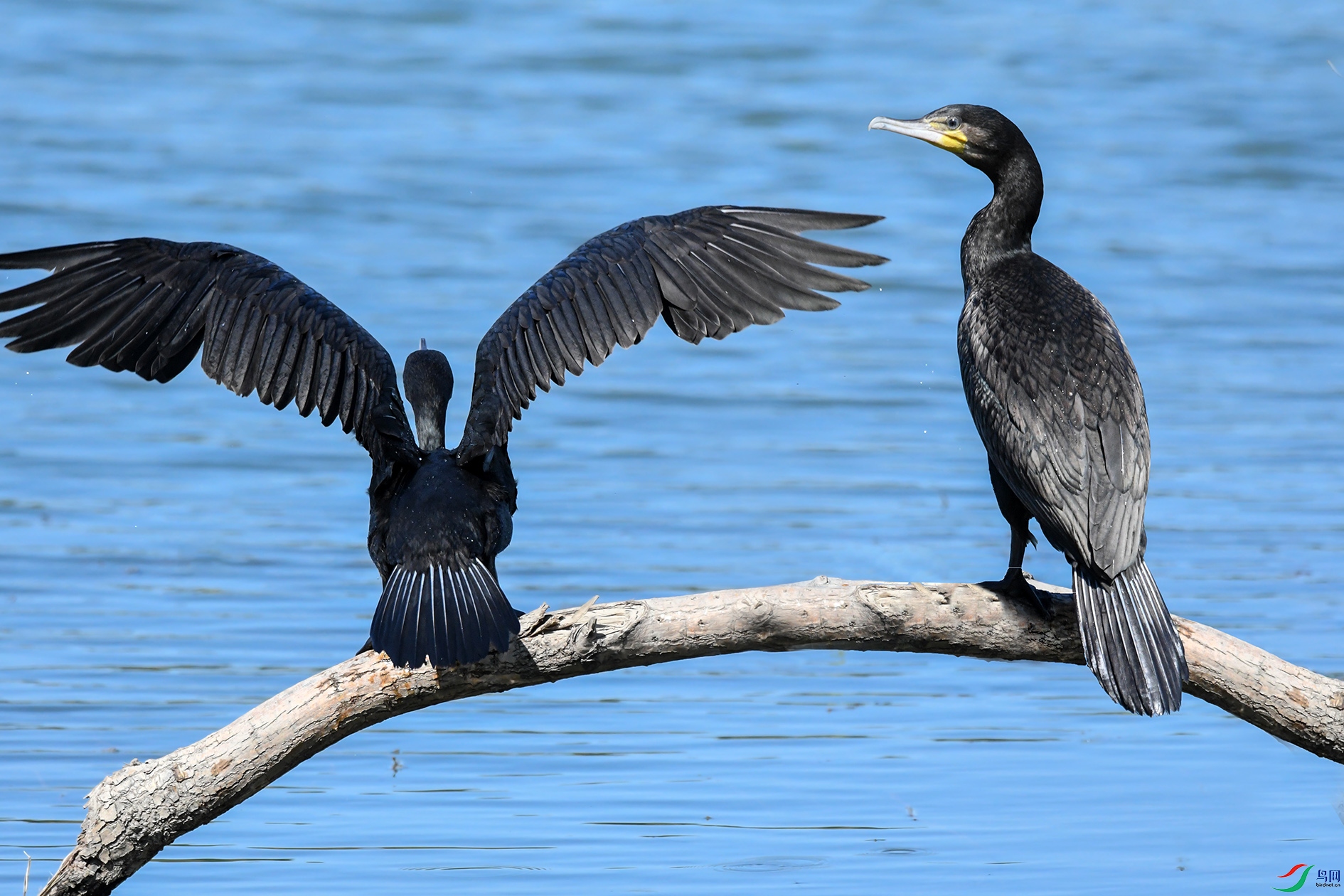 DSC_8462_��ͼ��_��ͼ�� ����.jpg