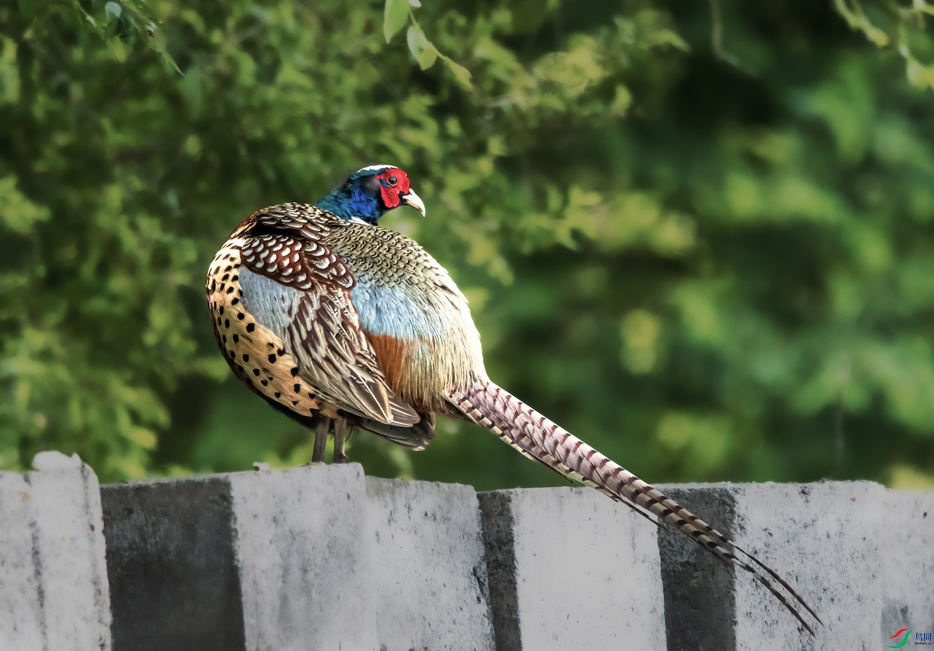 DSC_3072 ���� 2.jpg