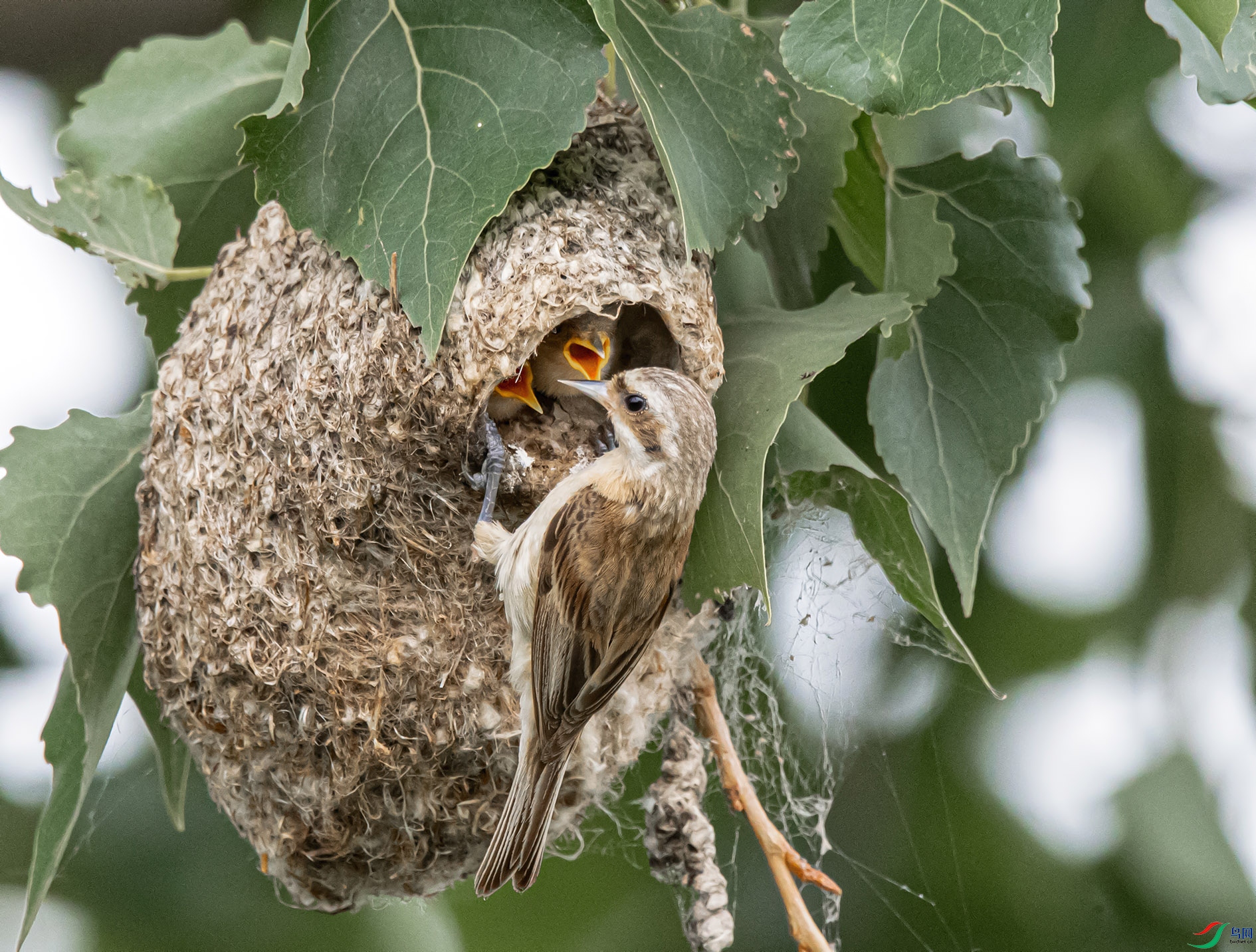 DSC_1232_��ͼ�� ���� 2.jpg