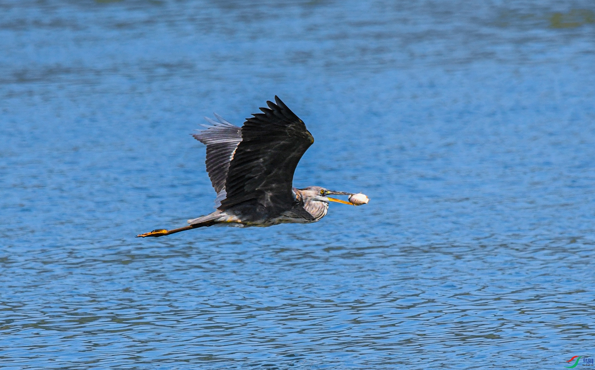 DSC_8067_��ͼ�� ����.jpg