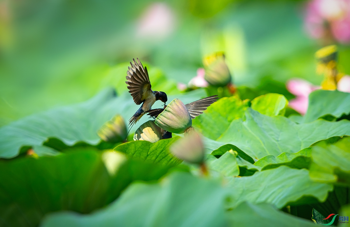 A6966448-024E-4D97-909E-5EE766D951ED.jpeg