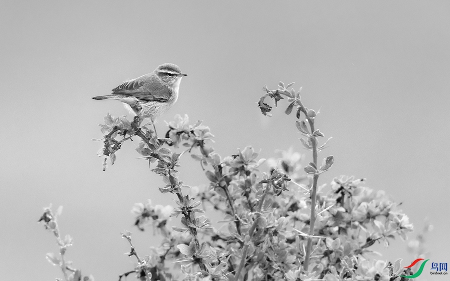 6H7A8100 ����.jpg