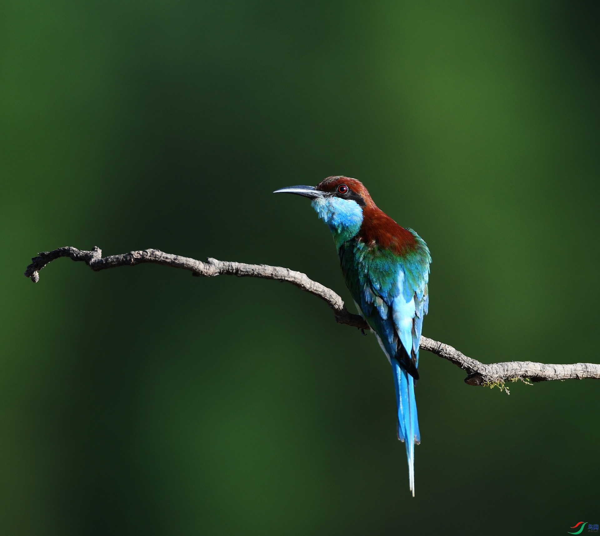 DSC_4357.jpg