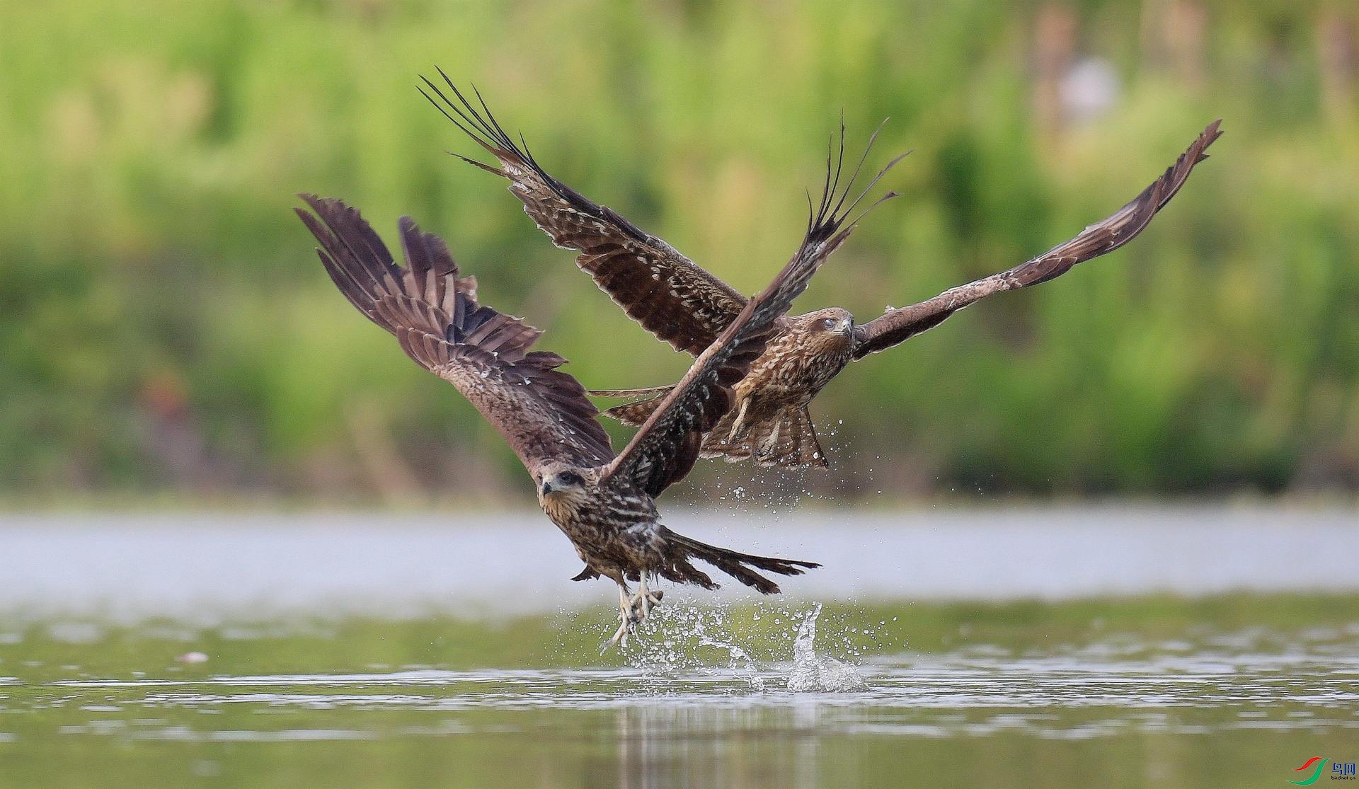 DSC_9327_����_���� (2).jpg