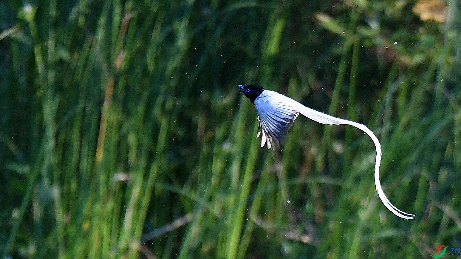 DSC_9859_����.jpg