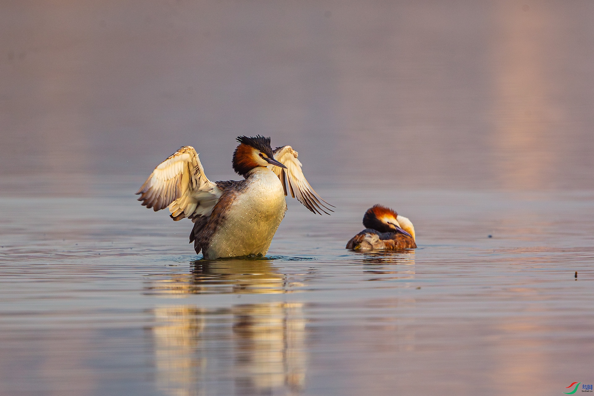 1008���� �ϰ���.jpg