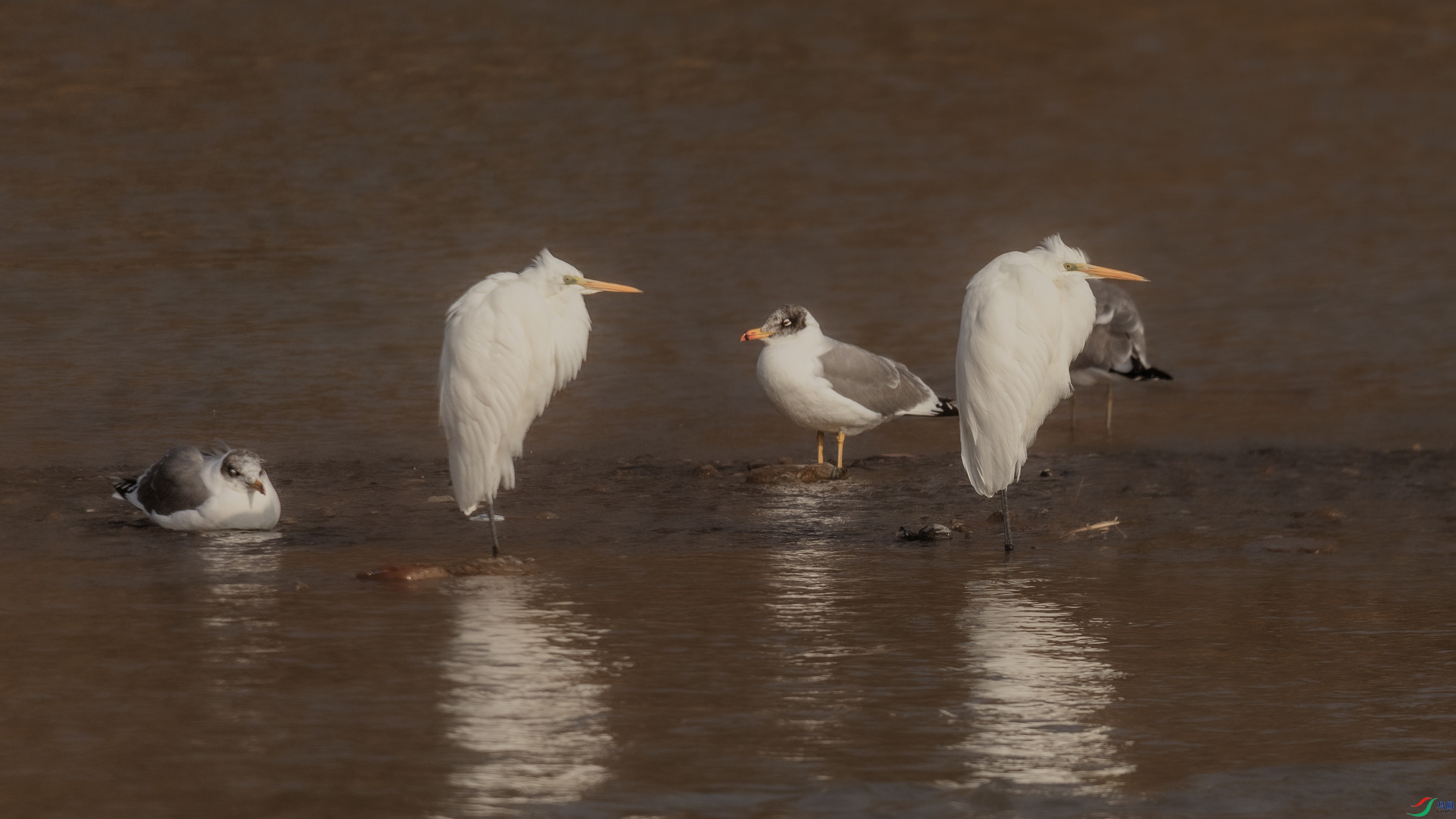 7X5A9034 ����.jpg