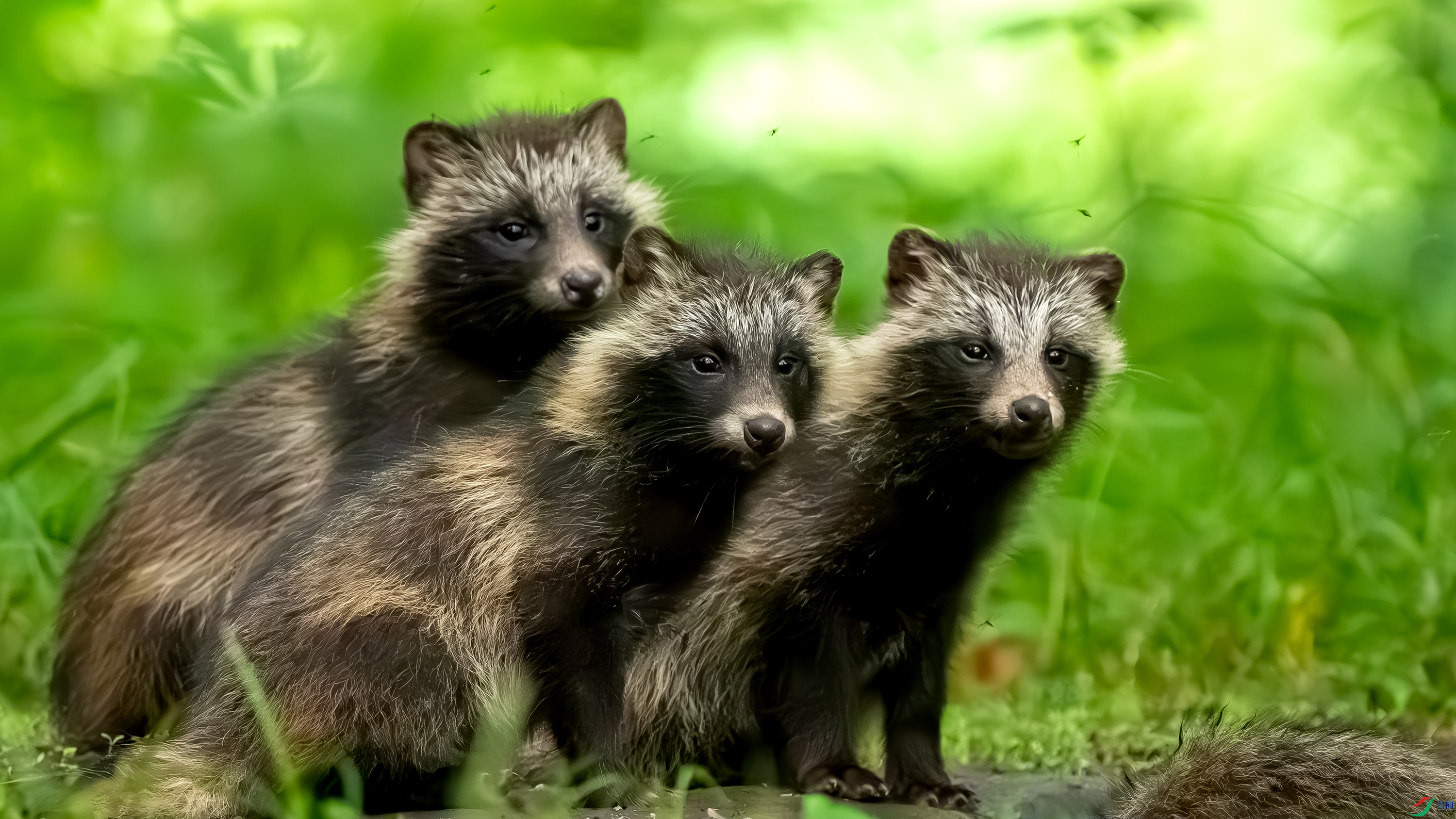 _DSC1787���� ��������.jpg