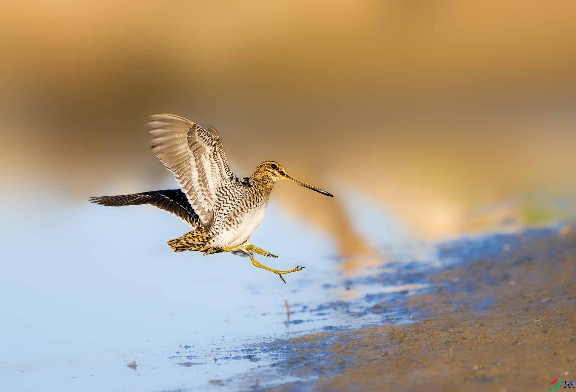 DSC05834-����ǿ-NR ����.jpg