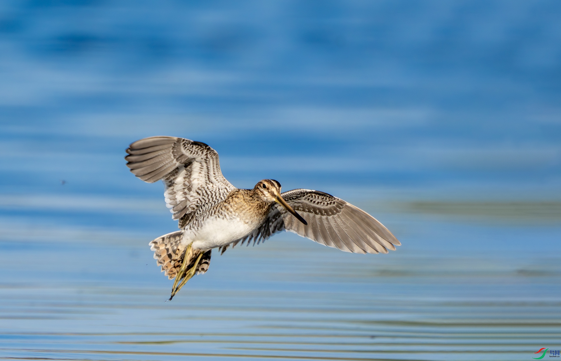 DSC05824-����ǿ-NR ����.jpg