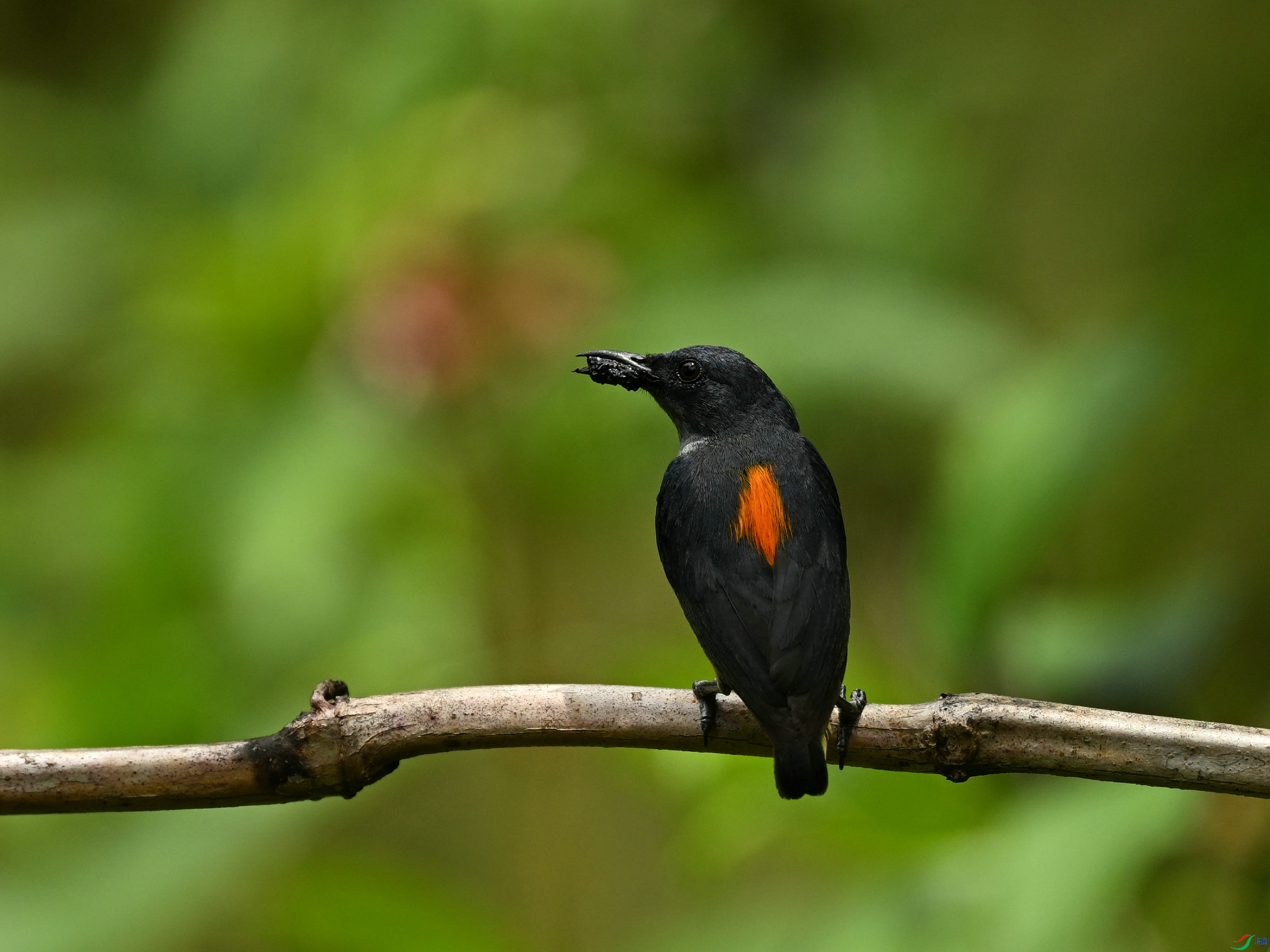 DSC_0468.jpg