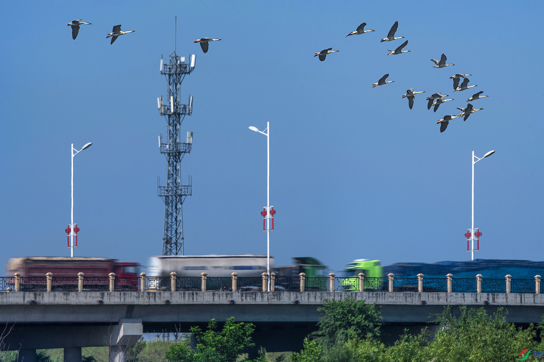 ������ ����.jpg