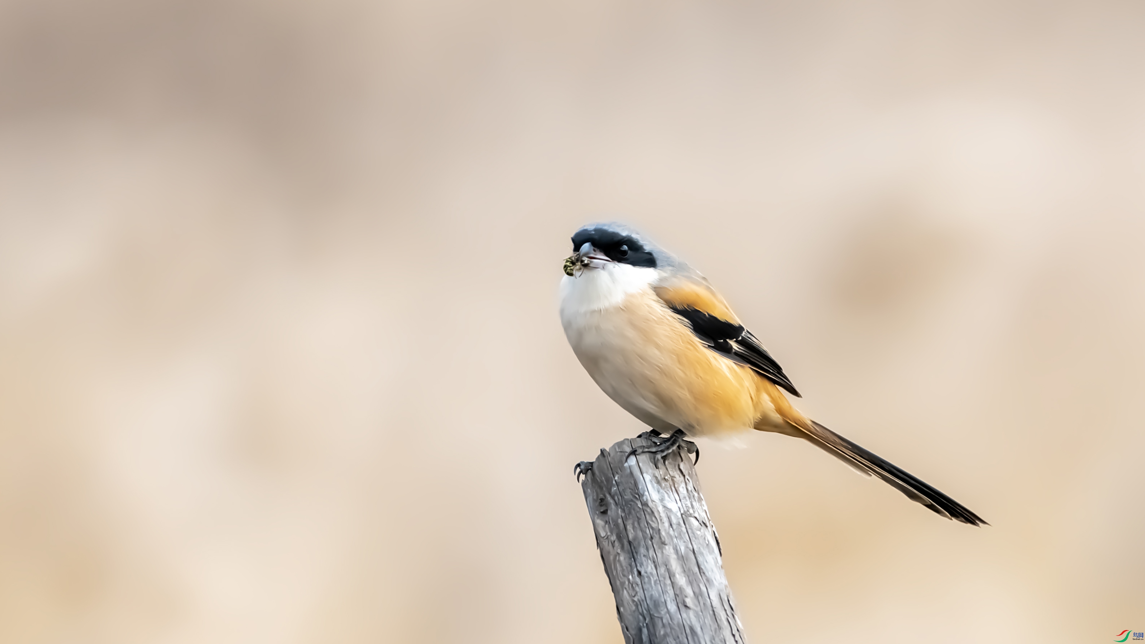 4468-1 ����.jpg