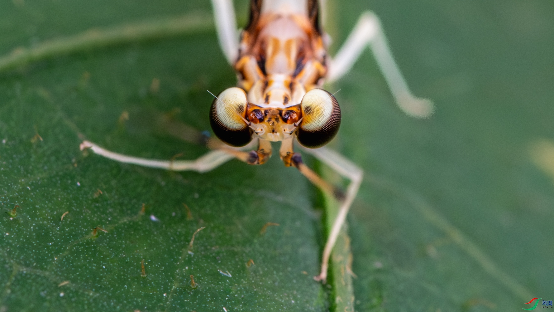 DSC_7794_1.JPG