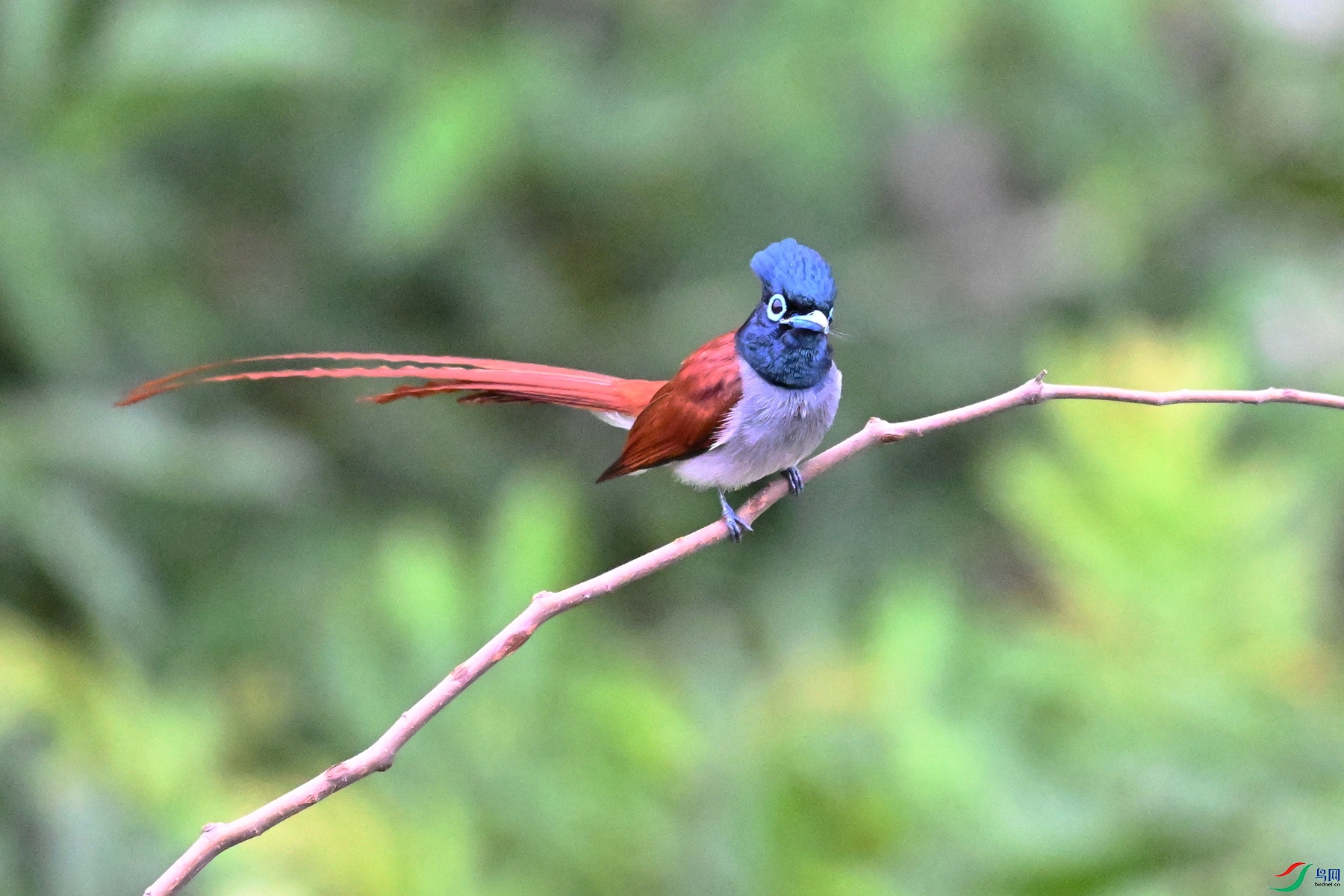 DSC_6285.JPG