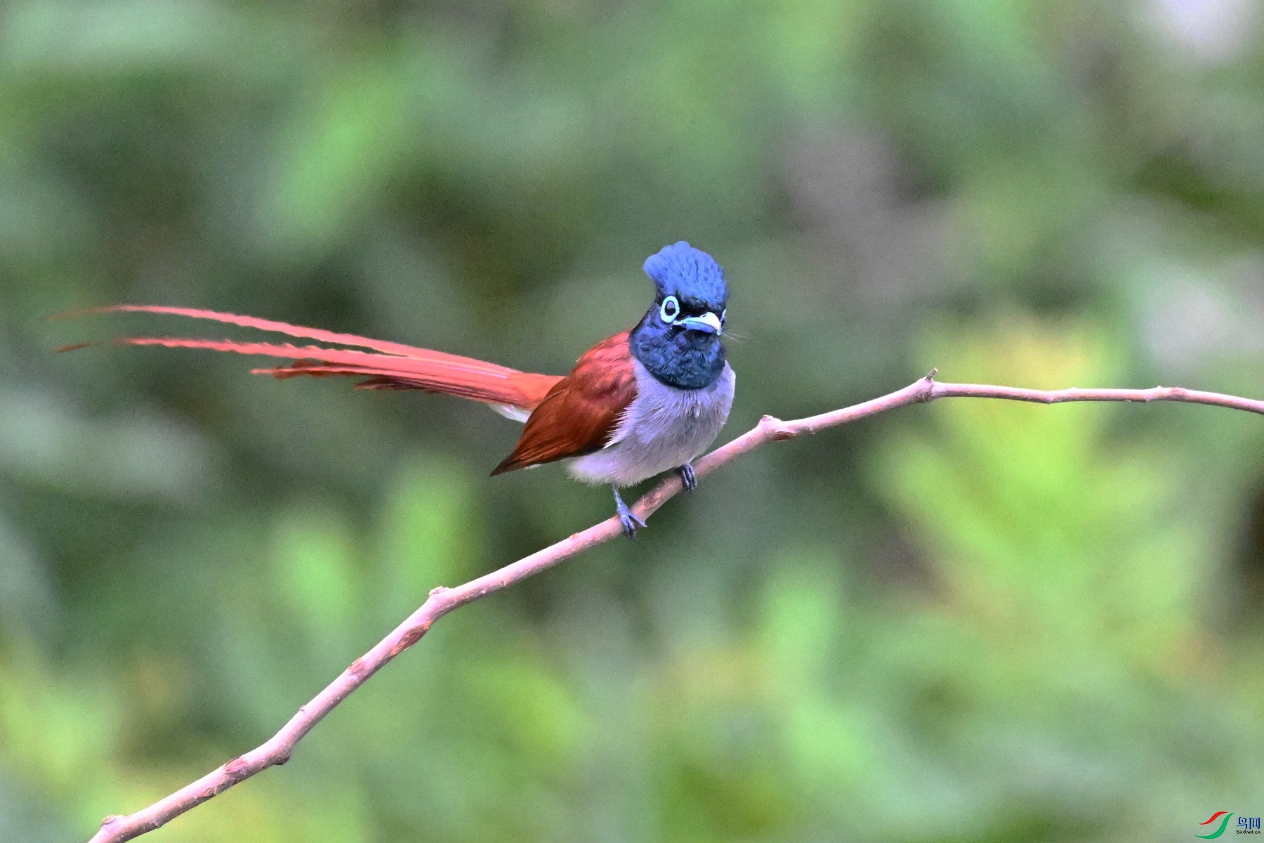 DSC_6287.JPG